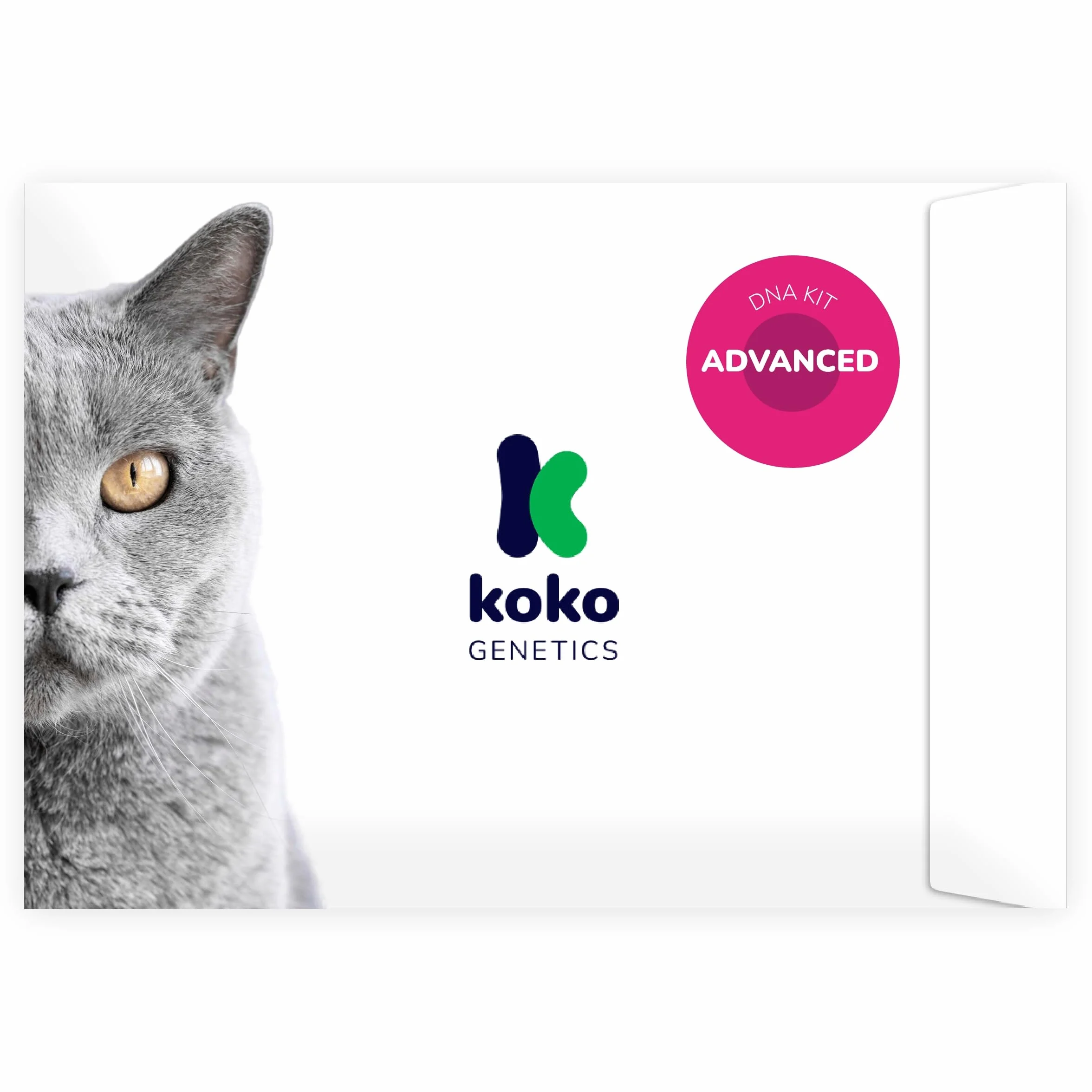Test DNA dla Kotów Advanced Koko Genetics - 150 Raporty Ras, Zdrowotne i Cech