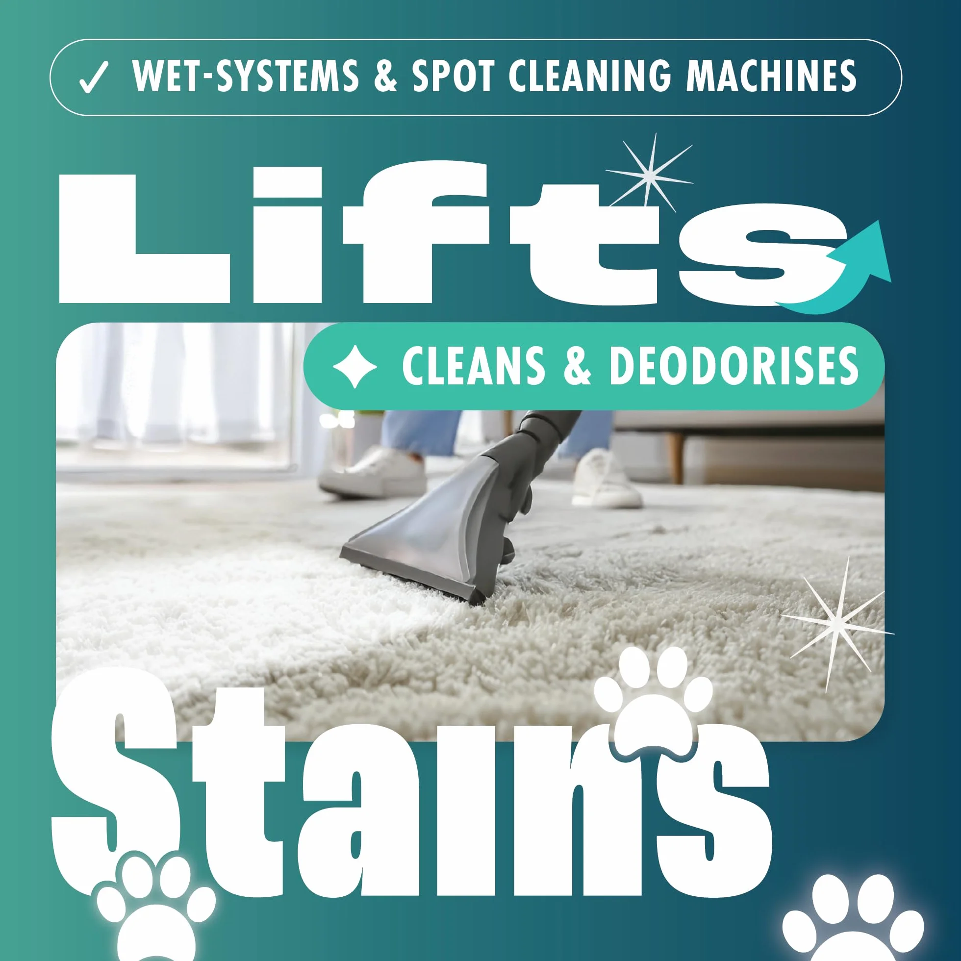 Dirtbusters Szampon do czyszczenia dywanów Clean & Protect z ochroną przed plamami (5 l)