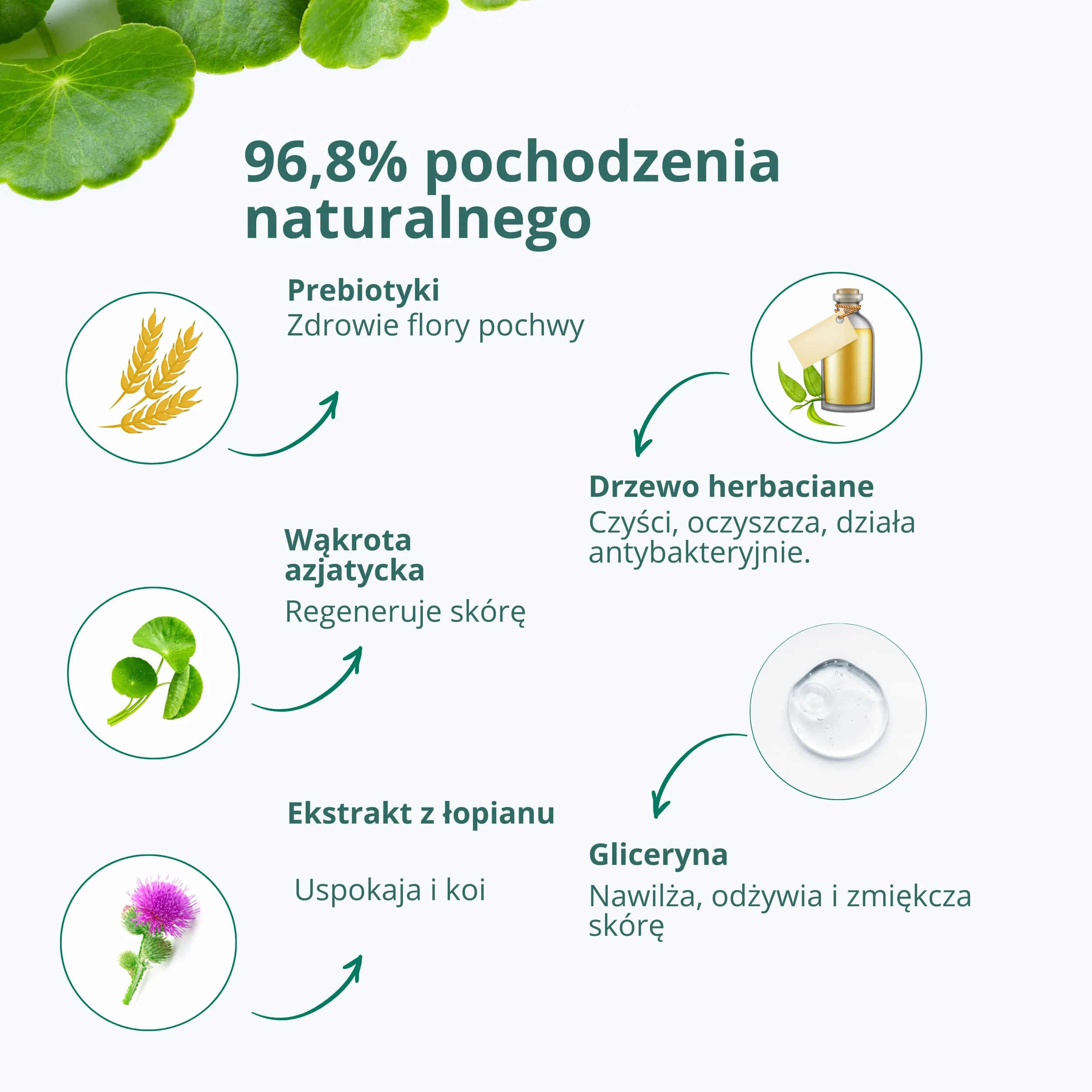 GYNEBAL Mydło intymne dla kobiet w okresie menopauzy PH8 Tea Tree + Prebiotyk + Centella Asiatica + Gliceryna + Łopian - Żel do higieny intymnej zapobiegający wysuszeniu pochwy - 150 ml