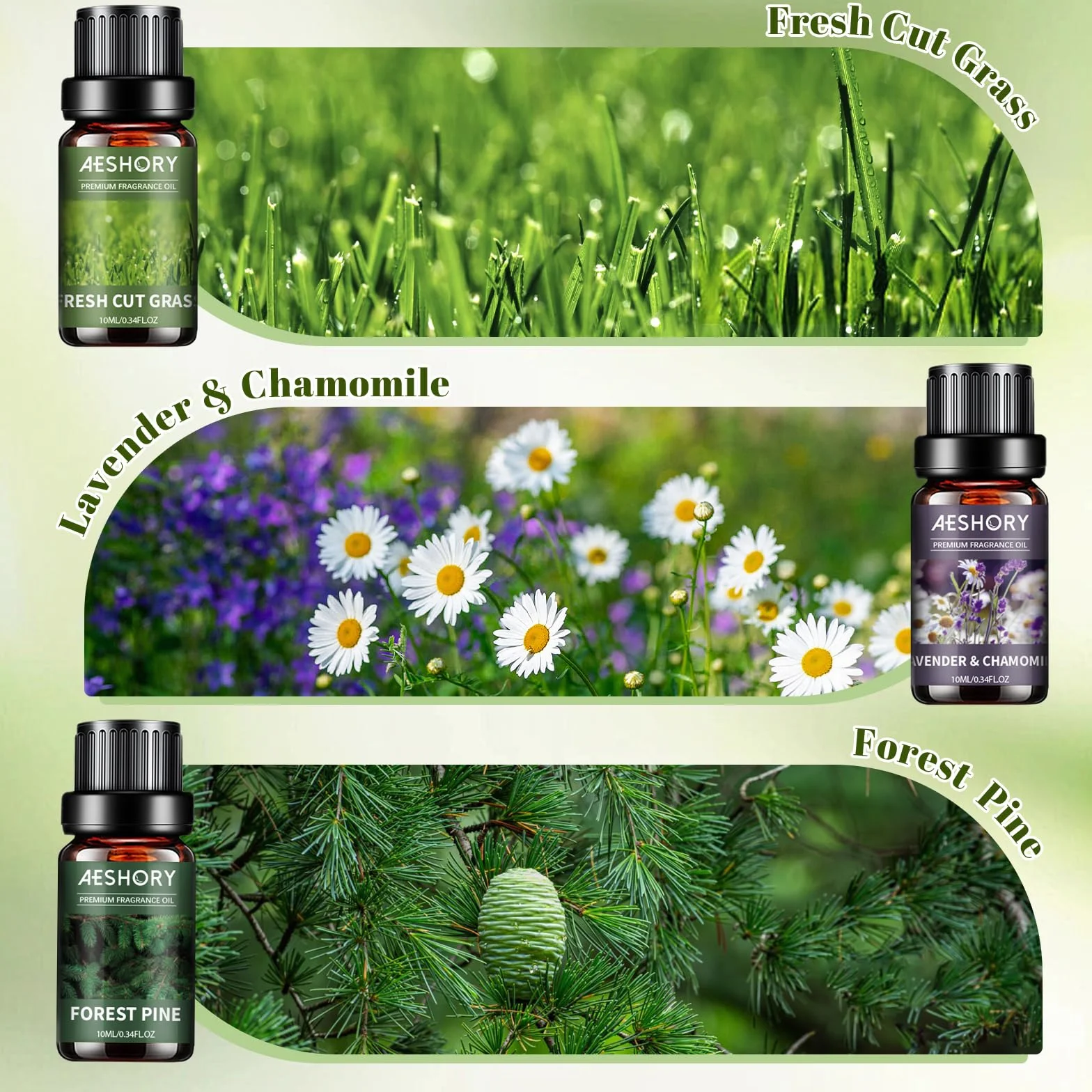 AESHORY 6 x 10ML Zestaw Naturalnych Olejków Eterycznych Do Dyfuzora, Relaksu, Wyrobu Świec - Bambus, Deszcz, Sosna Leśna, Drzewo Sandałowe I Róża, Lawenda I Rumianek, Świeżo Ścięta Trawa