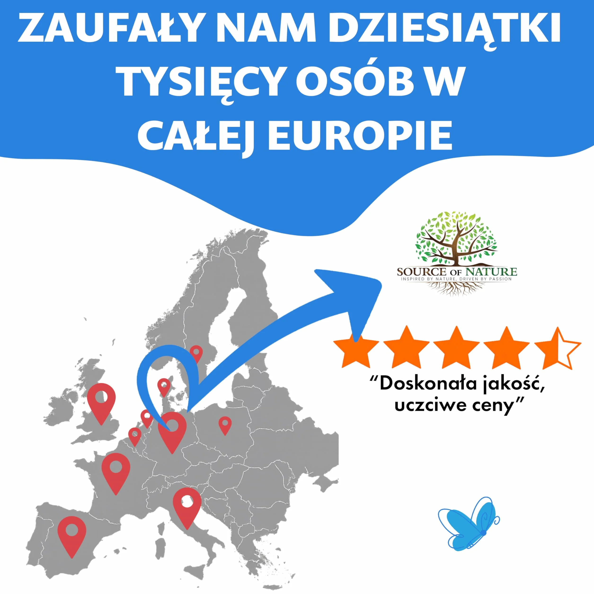L-Teanina 200 mg 240 Kapsułek Wegetariańskich Aminokwas Zielona Herbata 98% Czystości Bez Dodatków