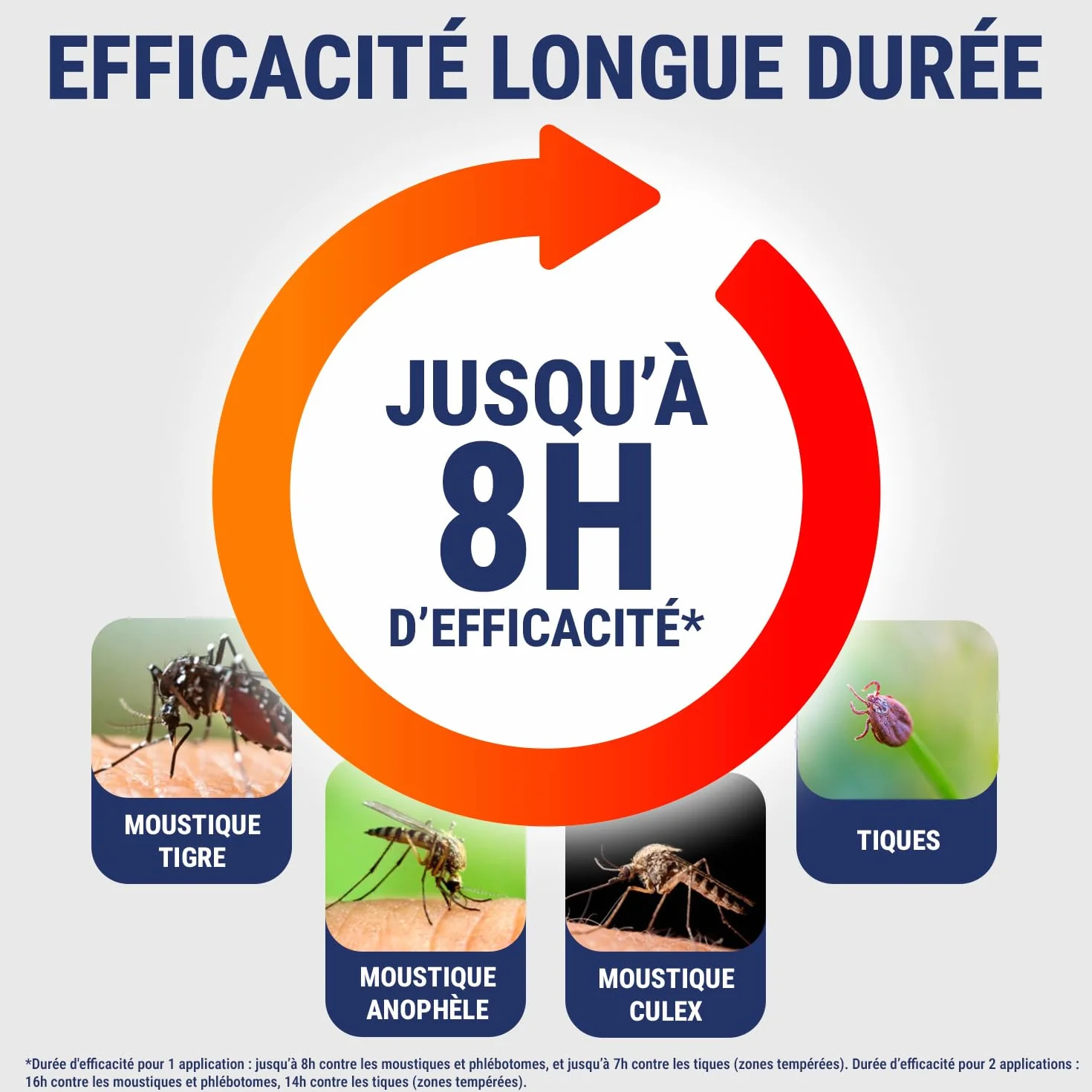 Insect Ecran Obszary zaatakowane 100 ml