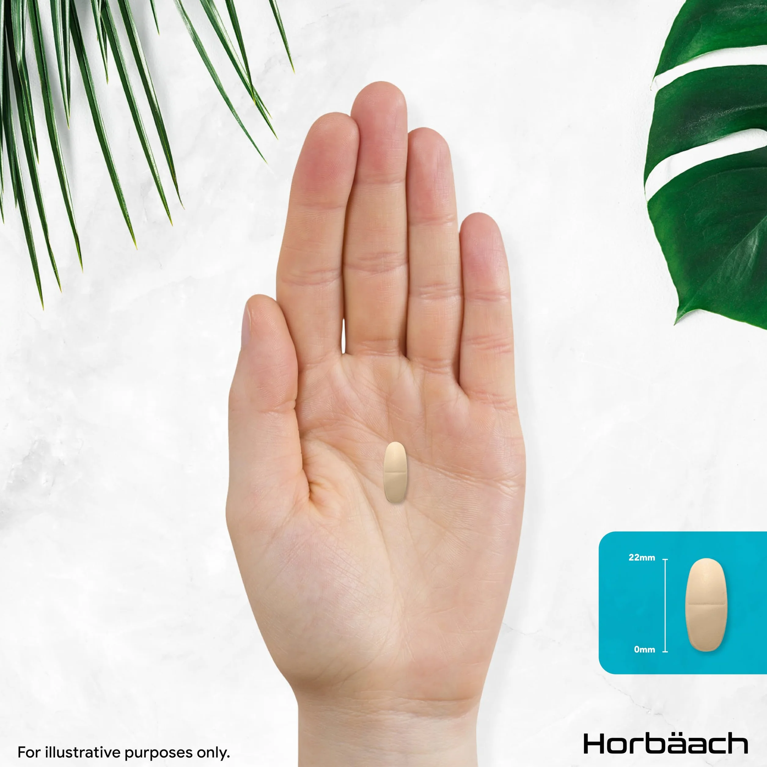 Tabletki elektrolitowe 1575 mg Horbaach 240 wegańskich tabletek z potasem chlorkiem wapniem magnezem sodem