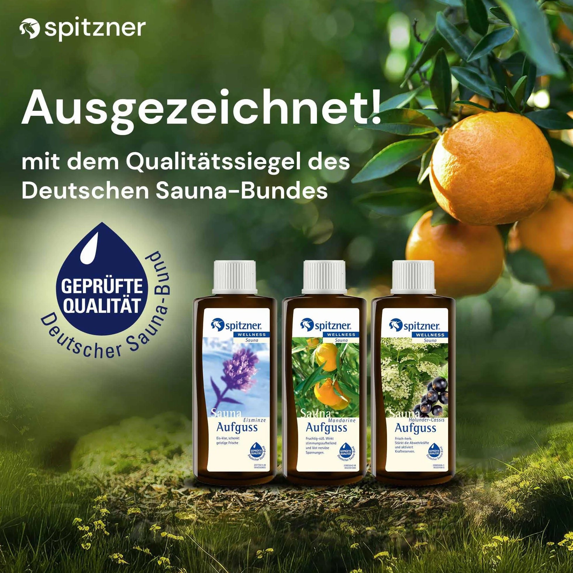 spitzner Napar do sauny, świeży i owocowy (3 x 190 ml) – sauna, naturalny olejek do sauny o aromatycznym zapachu mięty lodowej, mandarynki, czarnego bzu