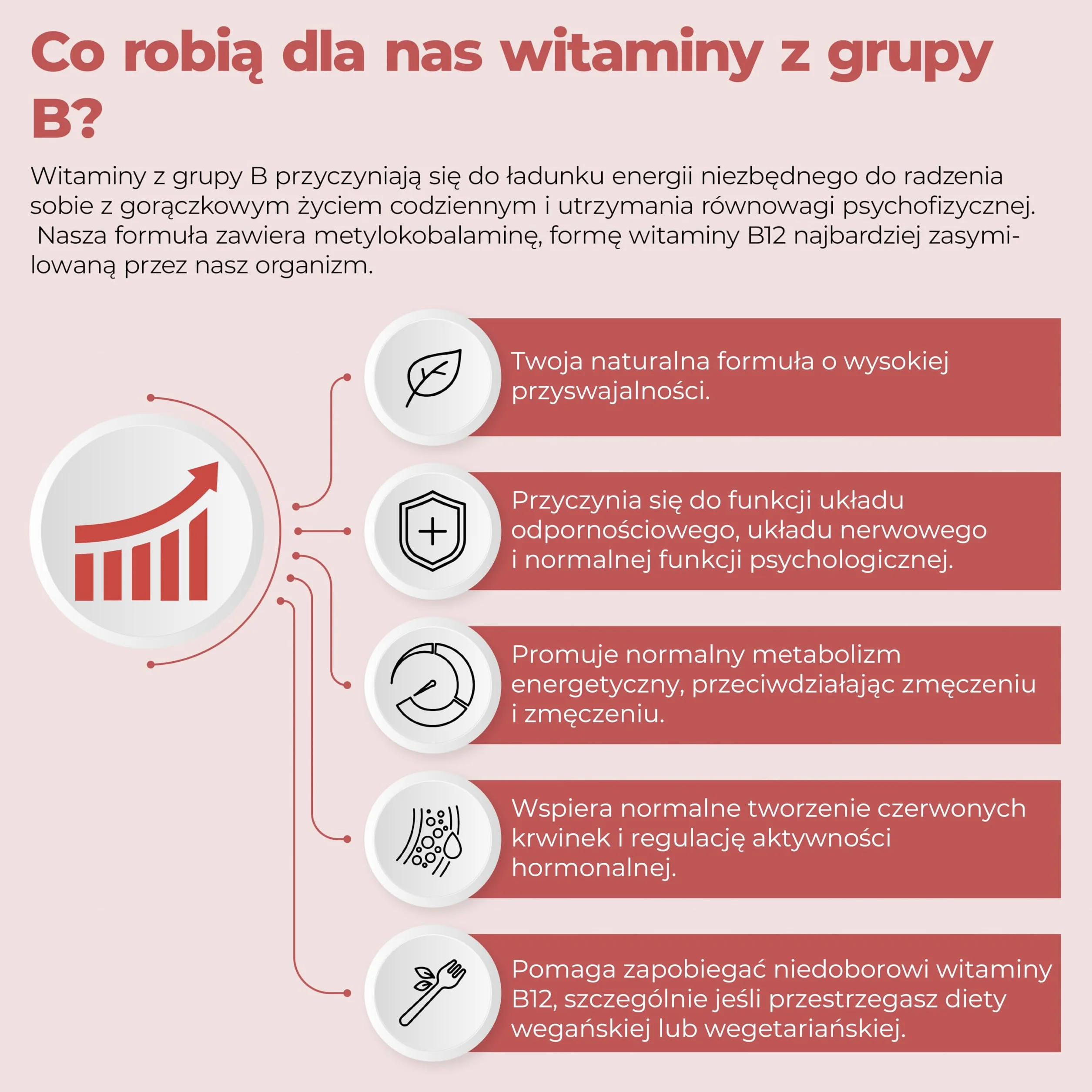 Bandini® Kompleks witamin B w dużych dawkach - 365 tabletek wegańskich (na 1 rok) - Kompleks witamin grupy B z kwasem foliowym, biotyną, B1, B2, B3, B5, B6, B12 - Kompleks witamin B bez GMO