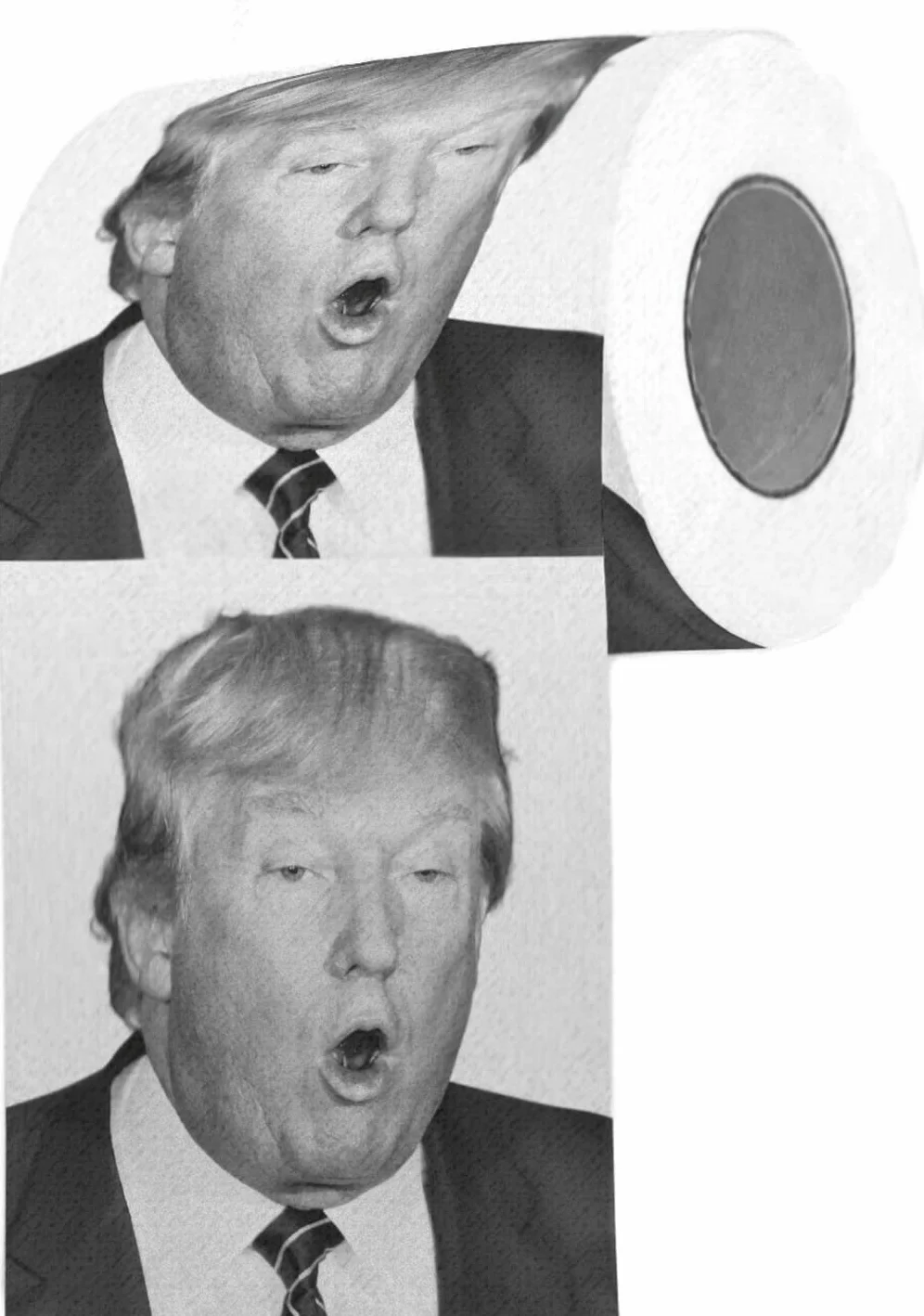 Papier toaletowy pudełko prezentowe Trump