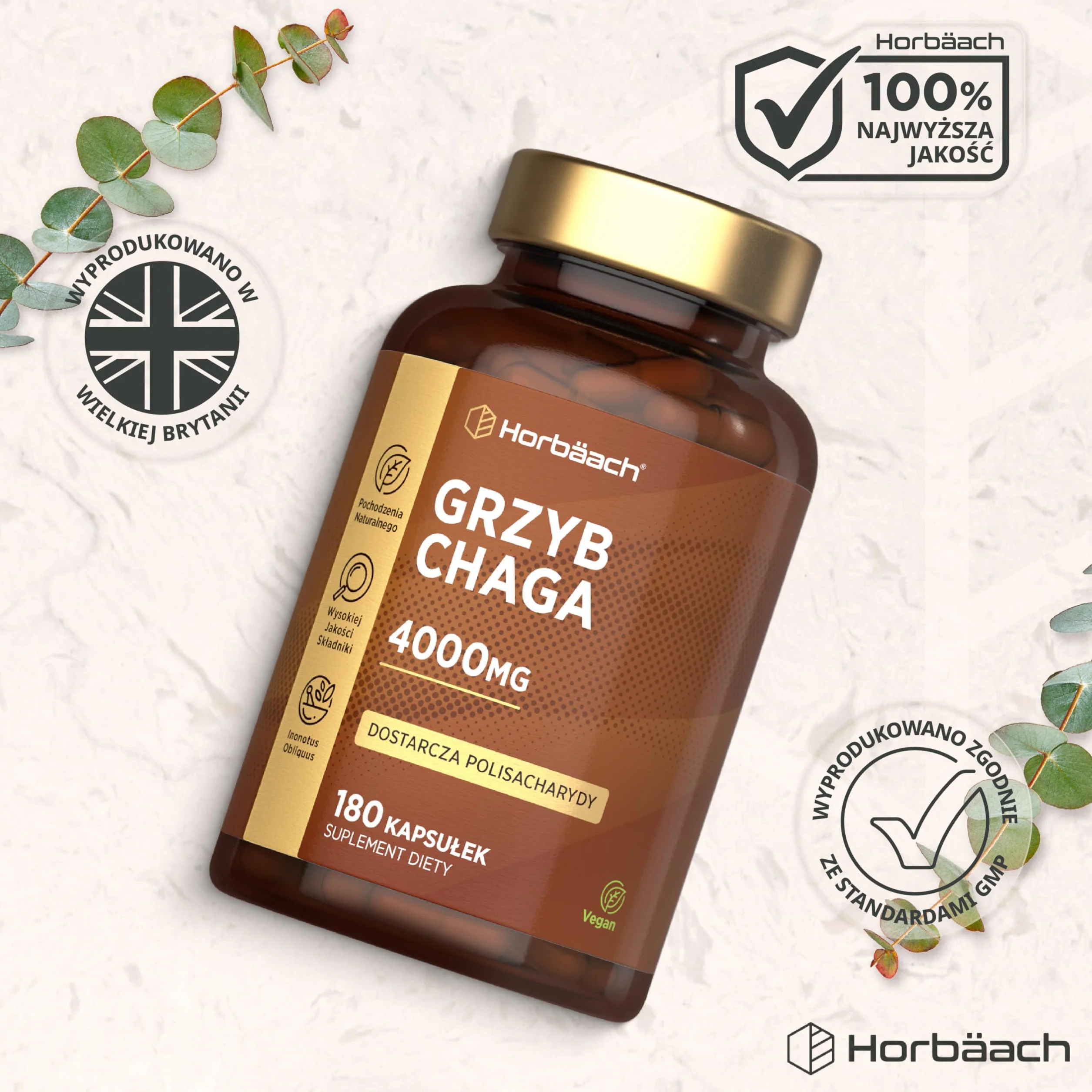 Chaga Grzyb Kapsułki 4000mg | Błyskoporek Podkorowy lub Chaga (Inonotus obliquus) | Naturalnego Pochodzenia | 90 Wegańskich Kapsułek | marki Horbaach