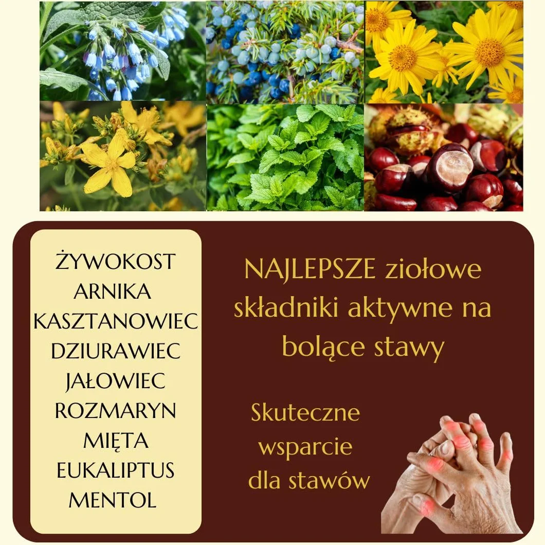 Green idea - Żel Artroregen | Maść na stawy |przyspiesza regenerację po treningu | Bóle stawów i mięśni | żywokost, arnika, kasztanowiec, rozmaryn, eukaliptus, mentol | żel do masażu 250 ml