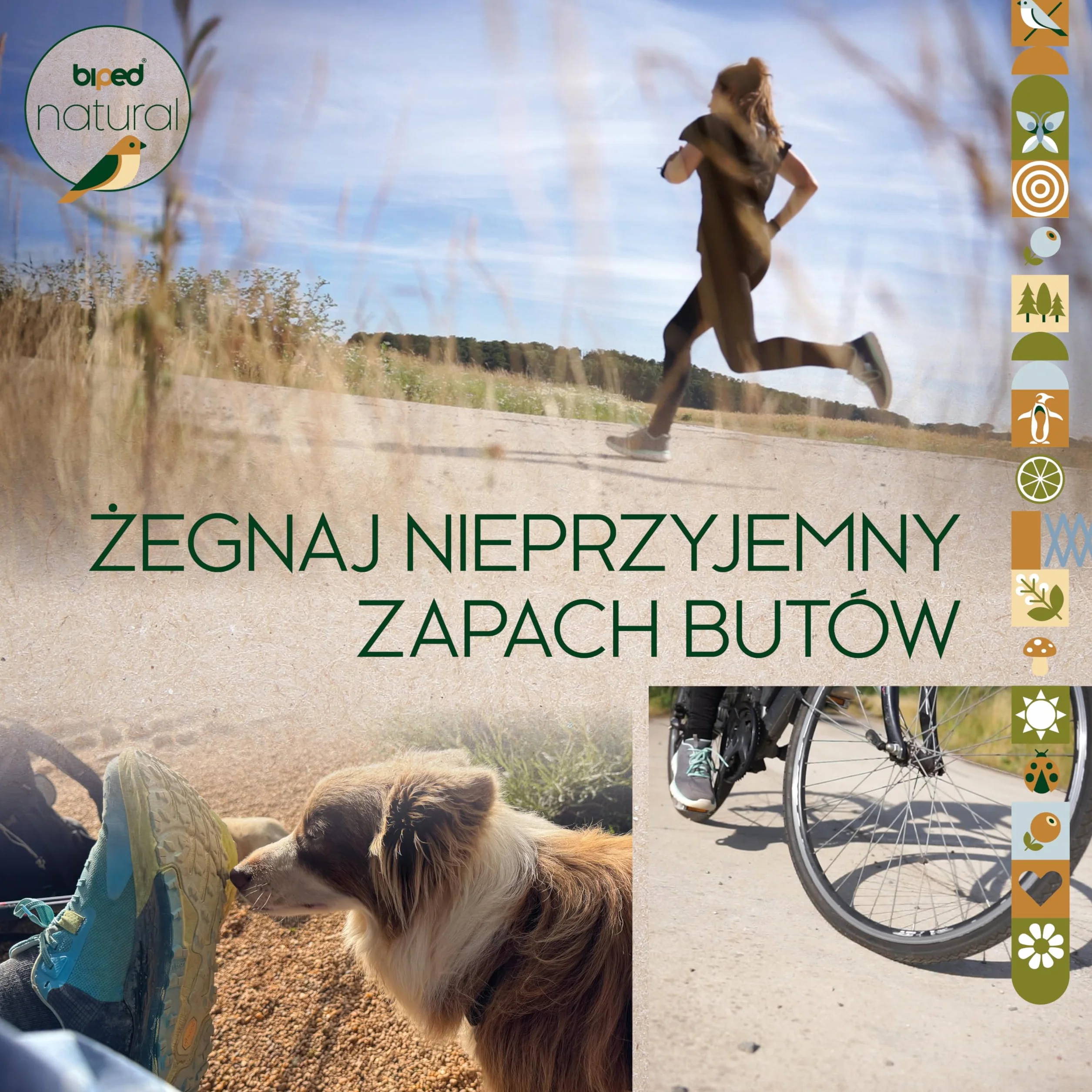 biped natural suszarka do butów z drewna cedrowego – 1 para – naturalny odświeżacz butów bez chemii – eliminuje nieprzyjemne zapachy – wkładki zapachowe z2927