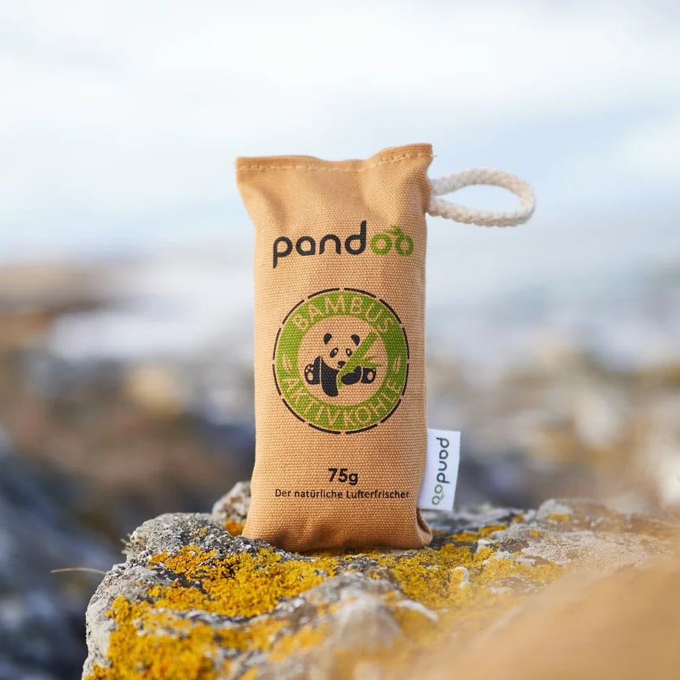 pandoo naturalny bambusowy odświeżacz powietrza z węglem aktywnym, oczyszczaczem powietrza i osuszaczem powietrza, oczyszczaczem powietrza w pomieszczeniu i odświeżaczem powietrza, pochłania zapachy i filtruje szkodliwe substancje i alergeny