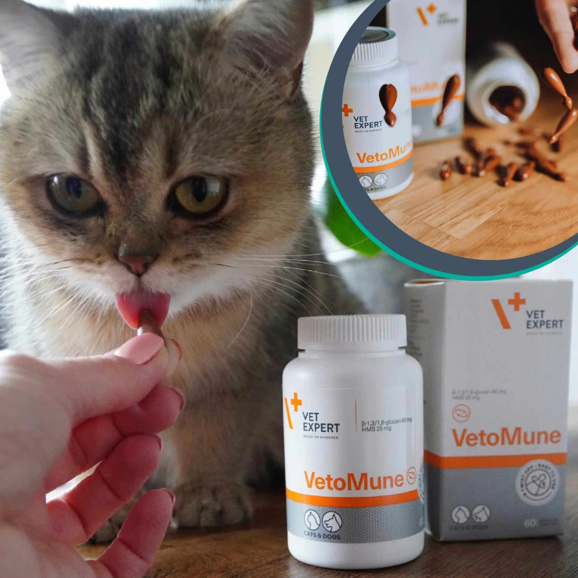 VETOMUNE