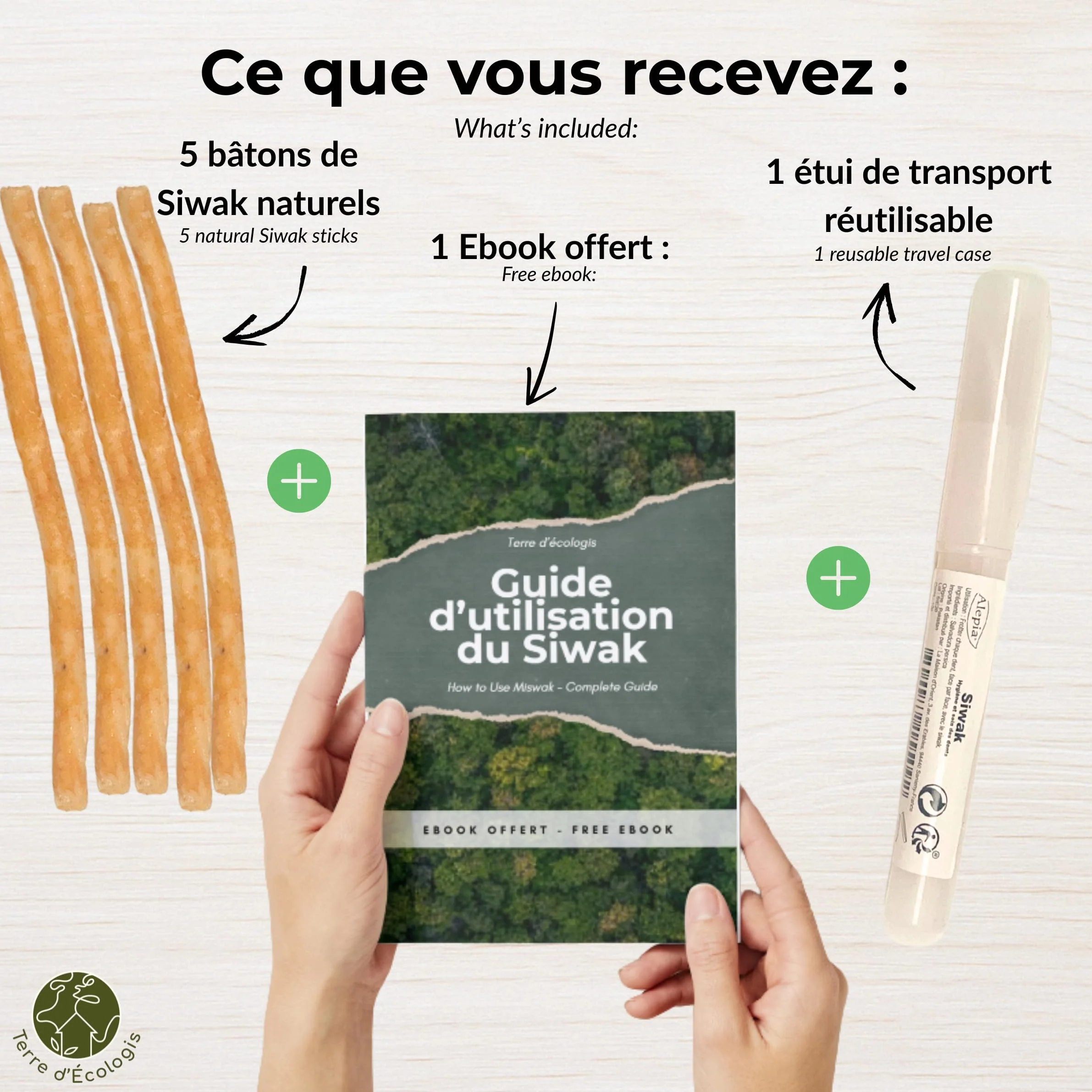Naturalne Siwak zestaw 5 sztuk + etui Salvadora Persica Pakistan