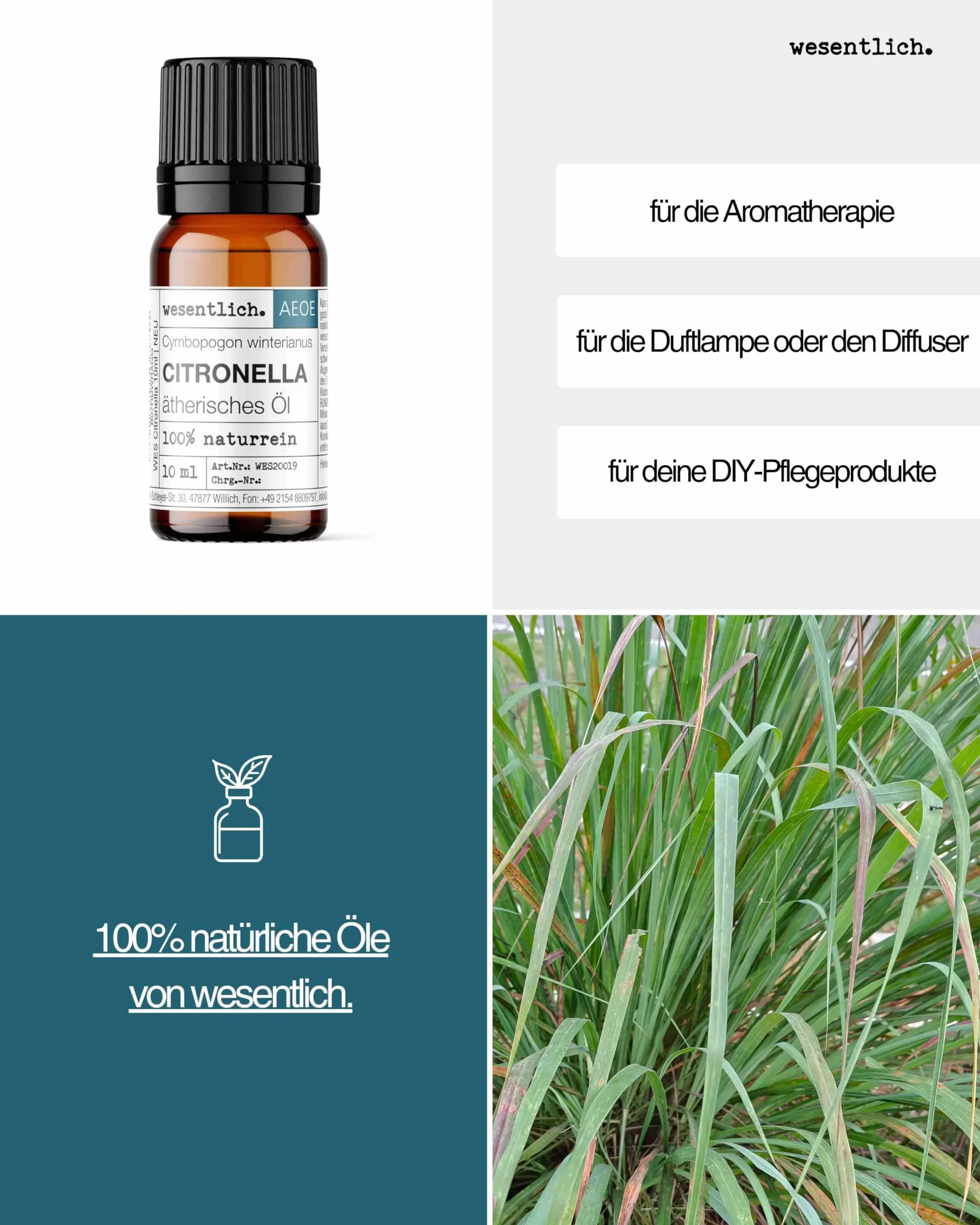 Olejek Citronella – czysty olejek eteryczny od wesentlich. – 100% naturalny w szklanej butelce (10 ml)