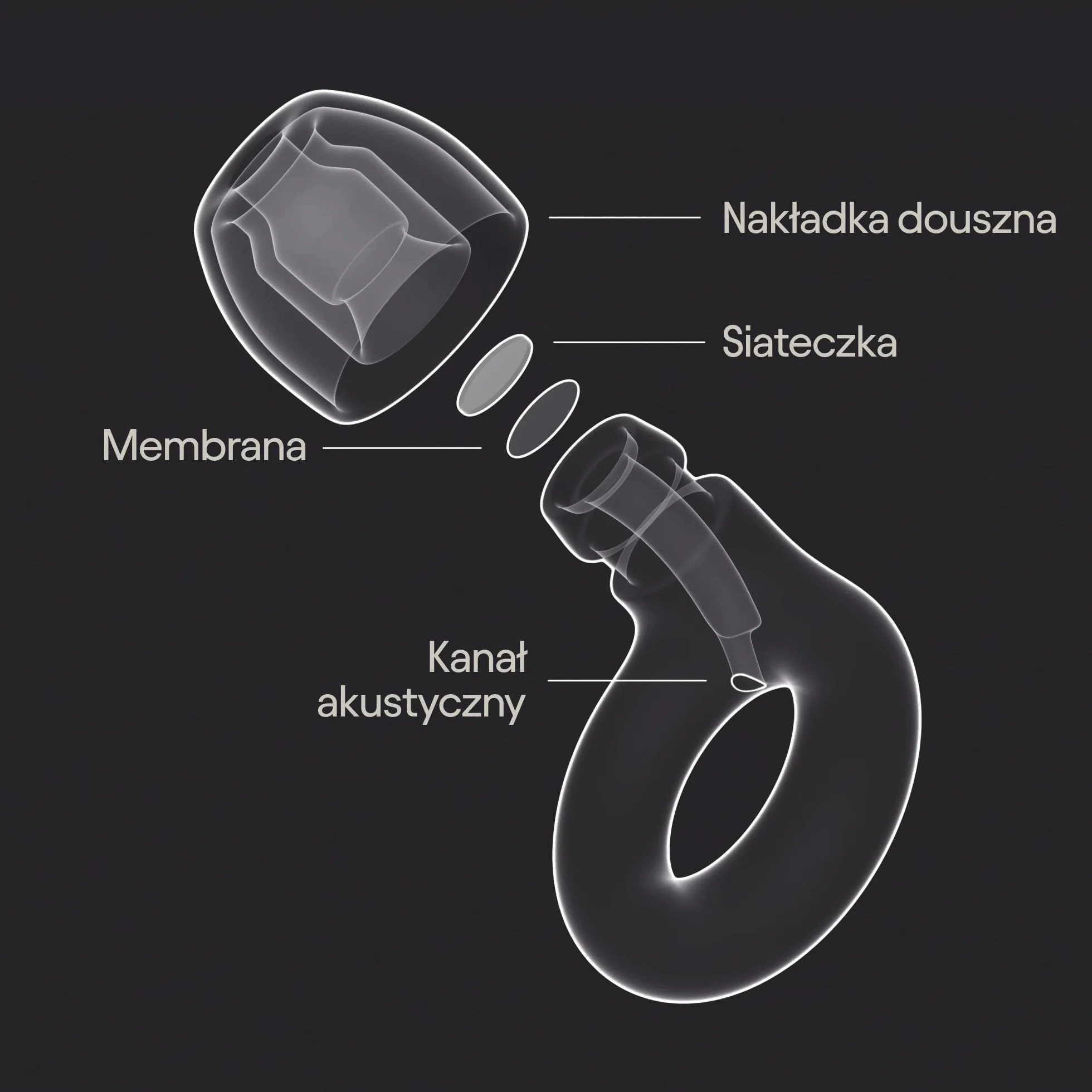 Loop Experience 2 – Certyfikowane ochronniki słuchu dla muzyków, imprezowiczów, uczestników festiwali, koncertów, wydarzeń sportowych i na żywo – zatyczki tłumiące hałas o 17 dB (wysoka wierność)