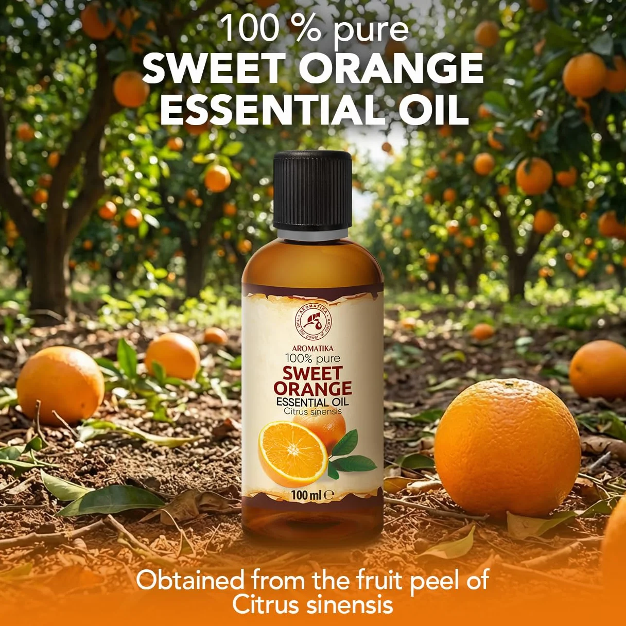 Olejek Eteryczny Ze Słodkiej Pomarańczy 100 ml - Citrus Sinensis - Olejek Pomarańczowy do Dyfuzora - Zapach Cytrusów - Aromaterapia - Świece Zapachowe - Mydła - Odświeżanie Powietrza