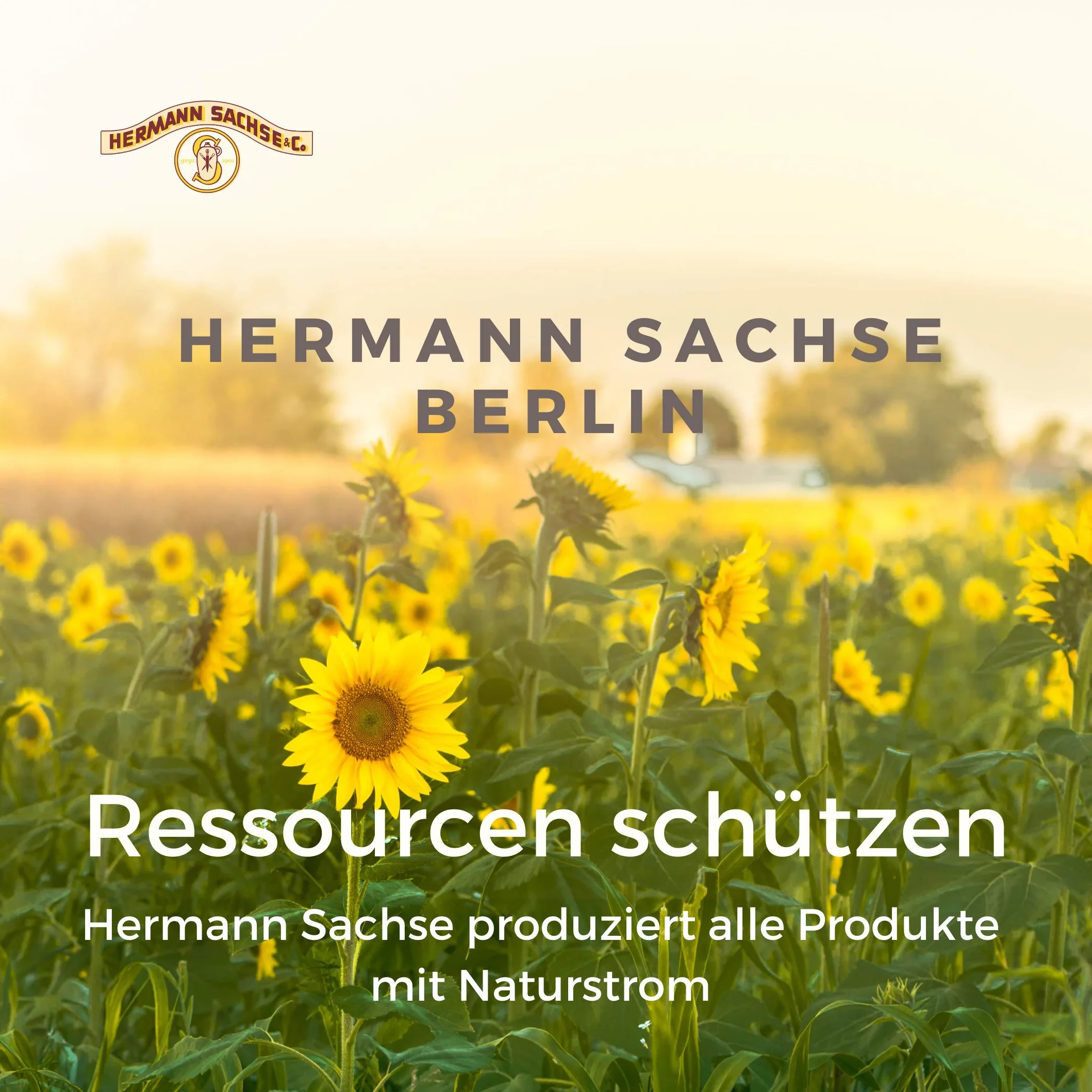 Hermann Sachse Möbelpolitur Polierwasser 250ml Hochglanzpolitur Schellack elegant pflegen