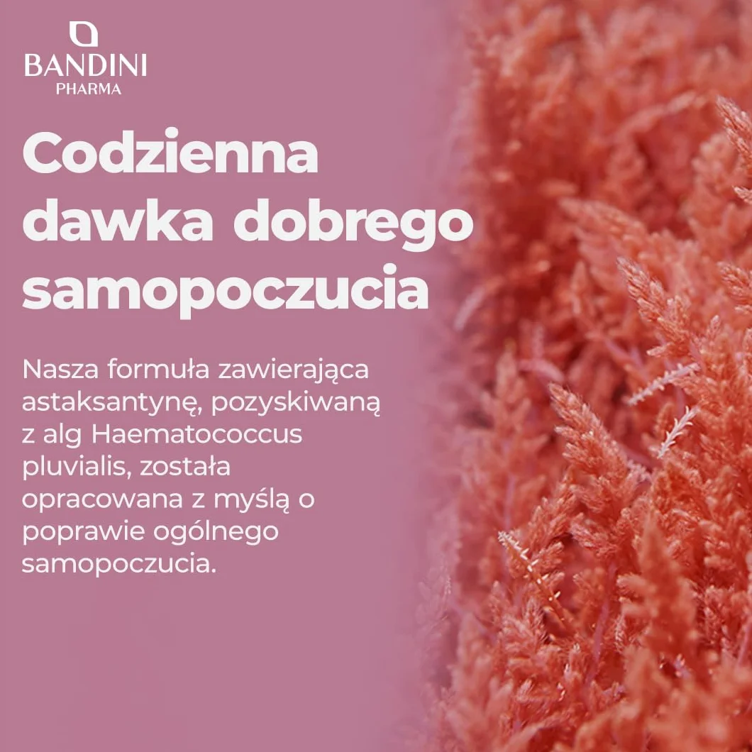 Bandini Czysta Astaksantyna 270 kapsułek 9-miesięczny zapas Naturalny przeciwutleniacz Astaxanthin 8 mg na kapsułkę Vegan bez GMO