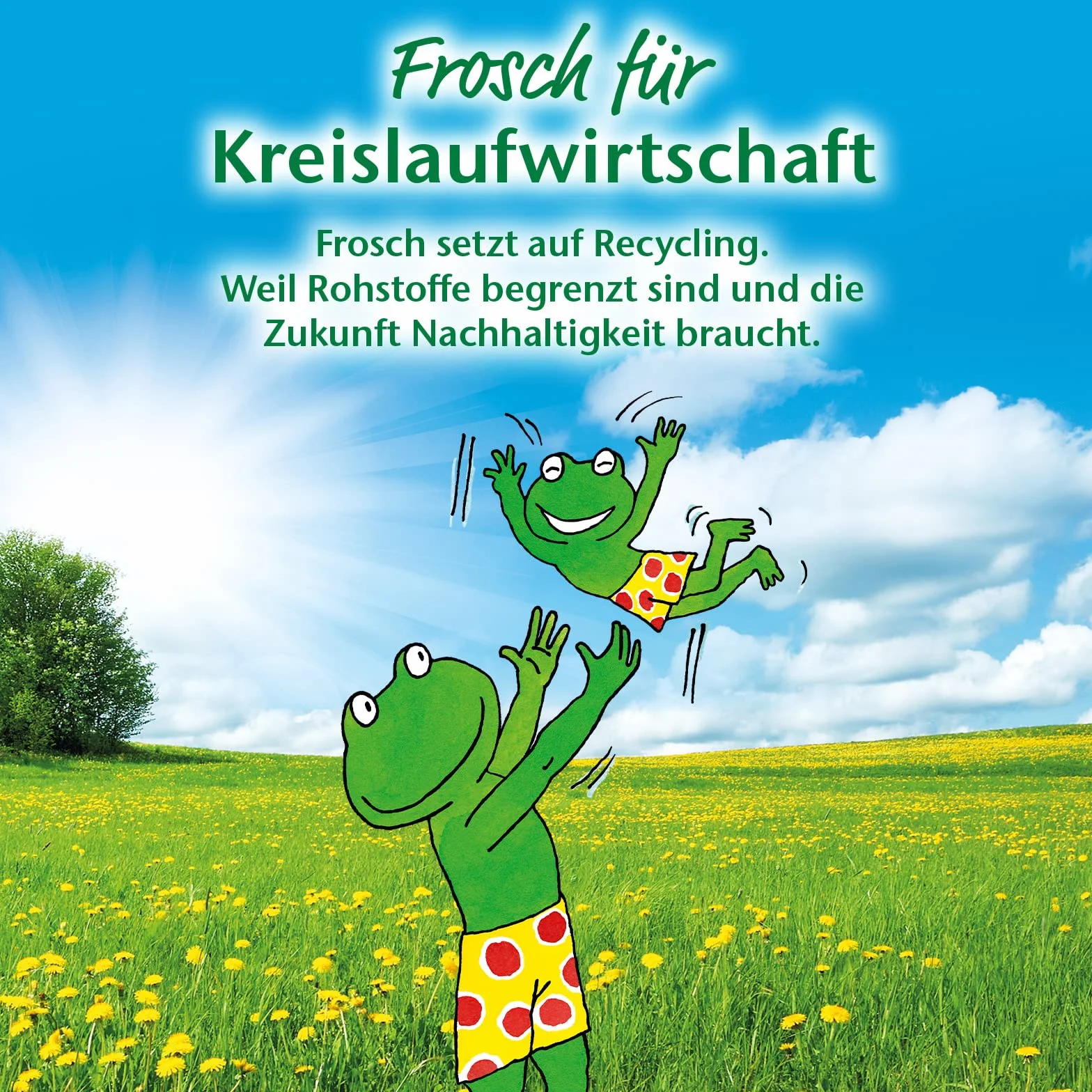 Frosch Geschirrspül-Tabs 50 Stück umweltfreundlich wasserlösliche Folie