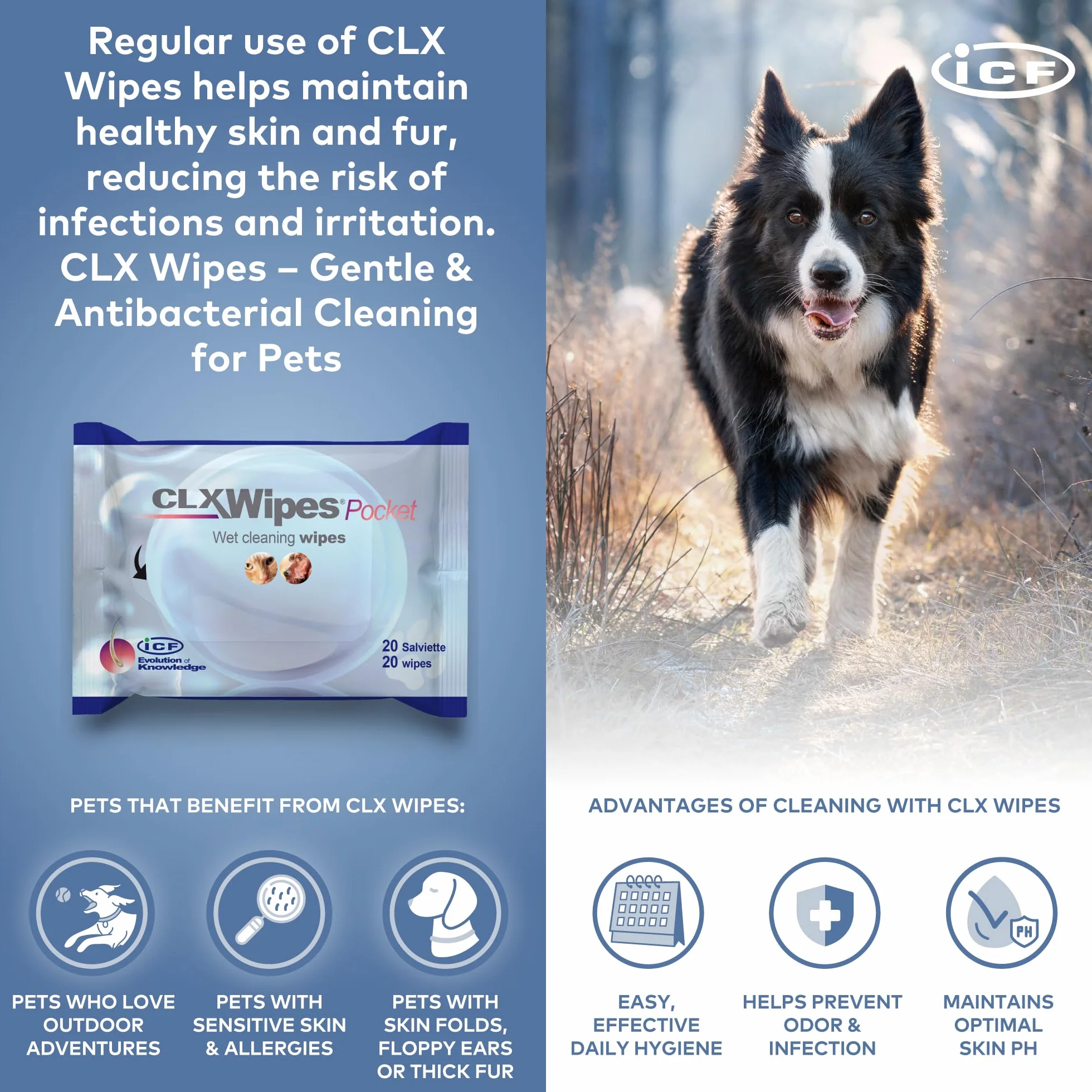 CLX WIPES POCKET 20 SZTUK