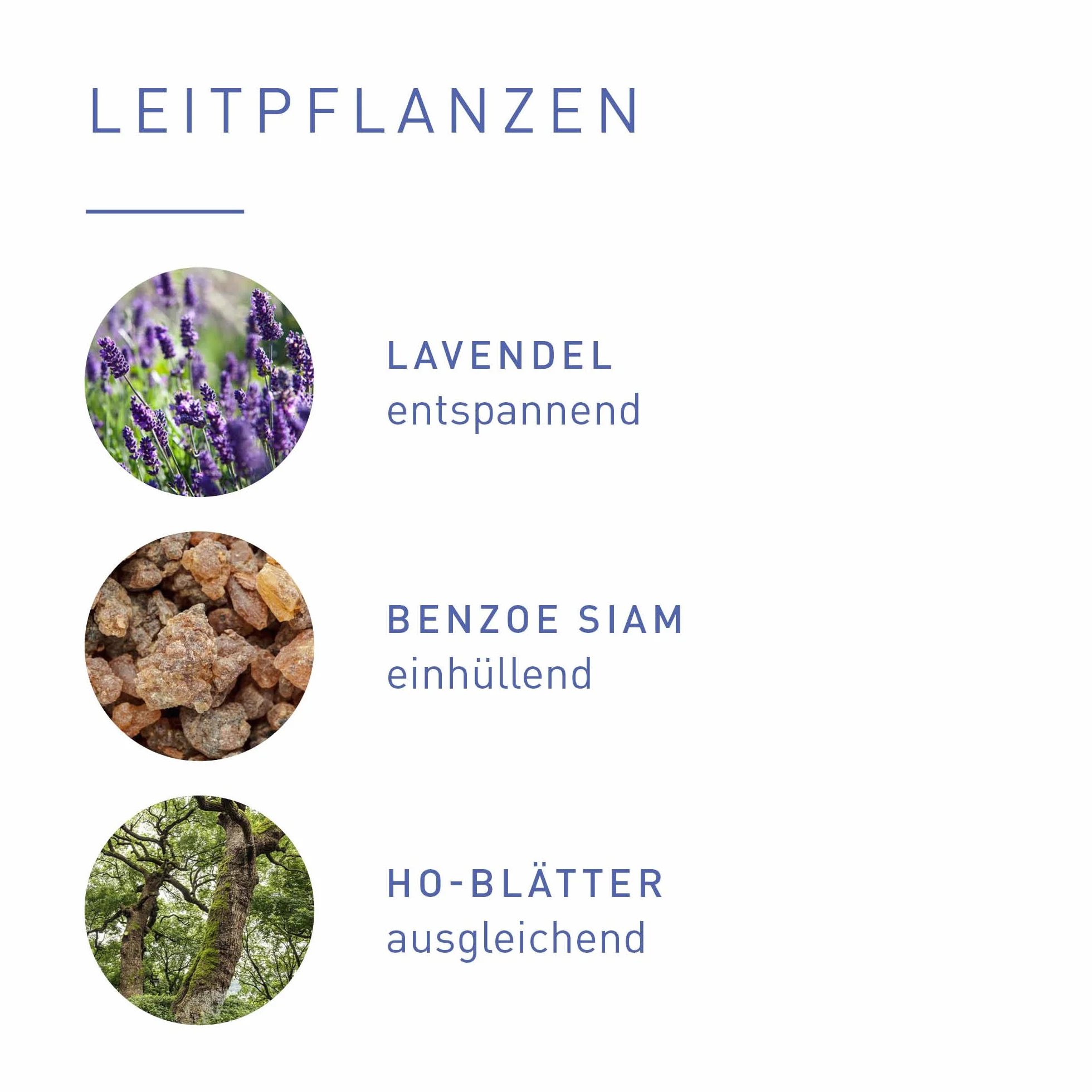 PRIMAVERA Mieszanka zapachowa całkowicie zrelaksowana 5 ml – lawenda, benzoe Siam i Ho liście – olejek aromatyczny, olejek eteryczny, aromaterapia – relaksująca – wegańska