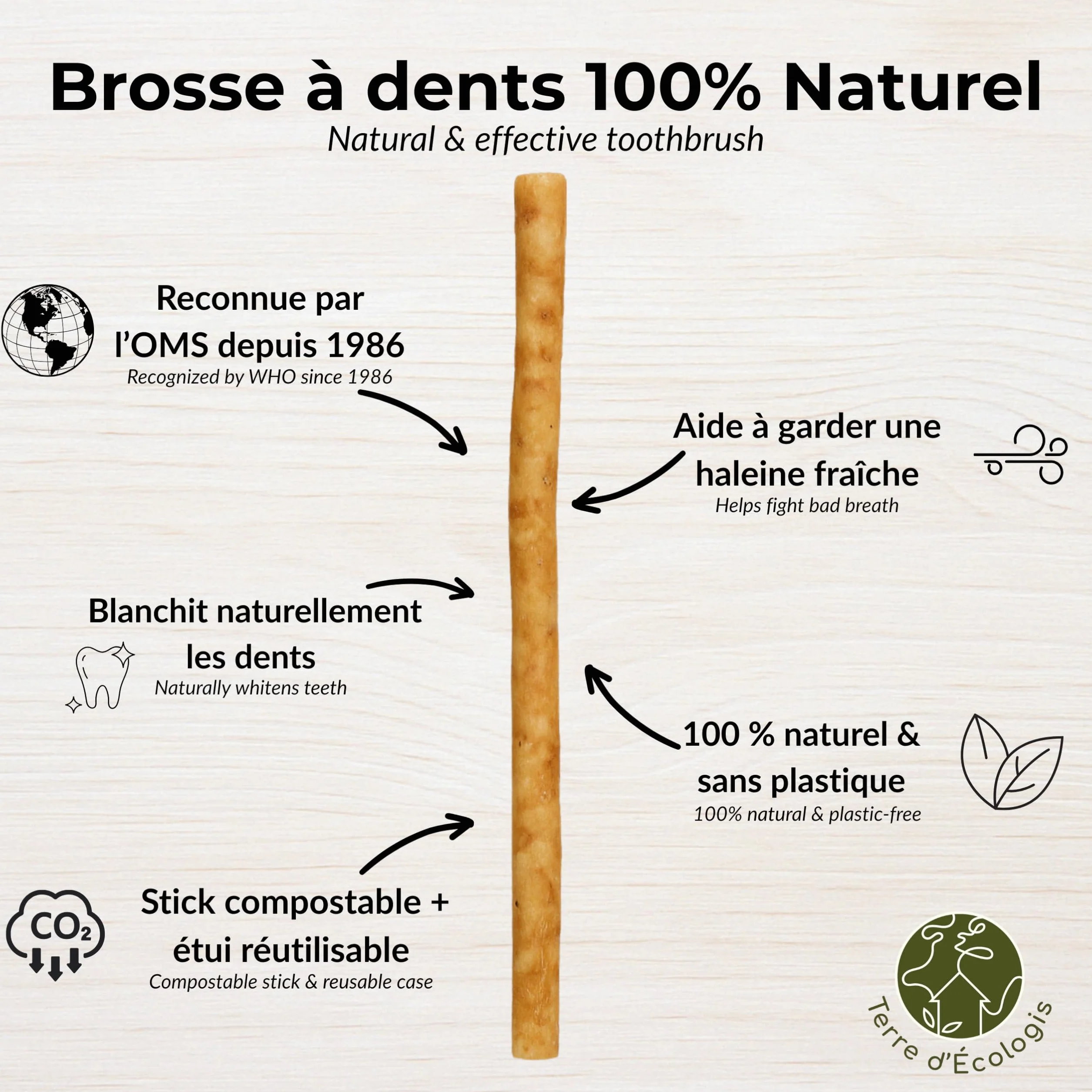 Naturalne Siwak zestaw 5 sztuk + etui Salvadora Persica Pakistan