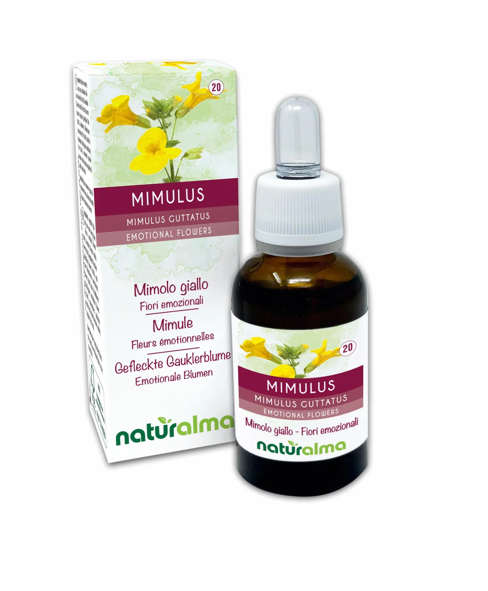 Mimulus lub Kroplik żółty (Mimulus guttatus) Kwiaty emocji lub Kwiaty Bacha Naturalma - Krople 30 ml - Płynny ekstrakt bezalkoholowy - Esencje kwiatowe - Wegański