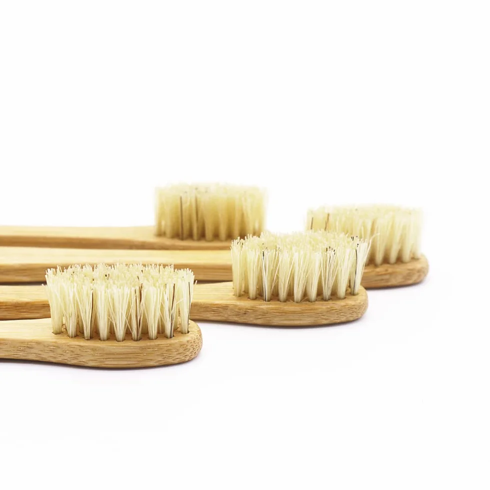 Gaia Guy Szczoteczka do zębów z bambusa i dzika (4 sztuki) + etui podróżne i jedwabna nić dentystyczna | 100% kompostowalne włosie i nić | ekologiczny zestaw dentystyczny | biodegradowalne i