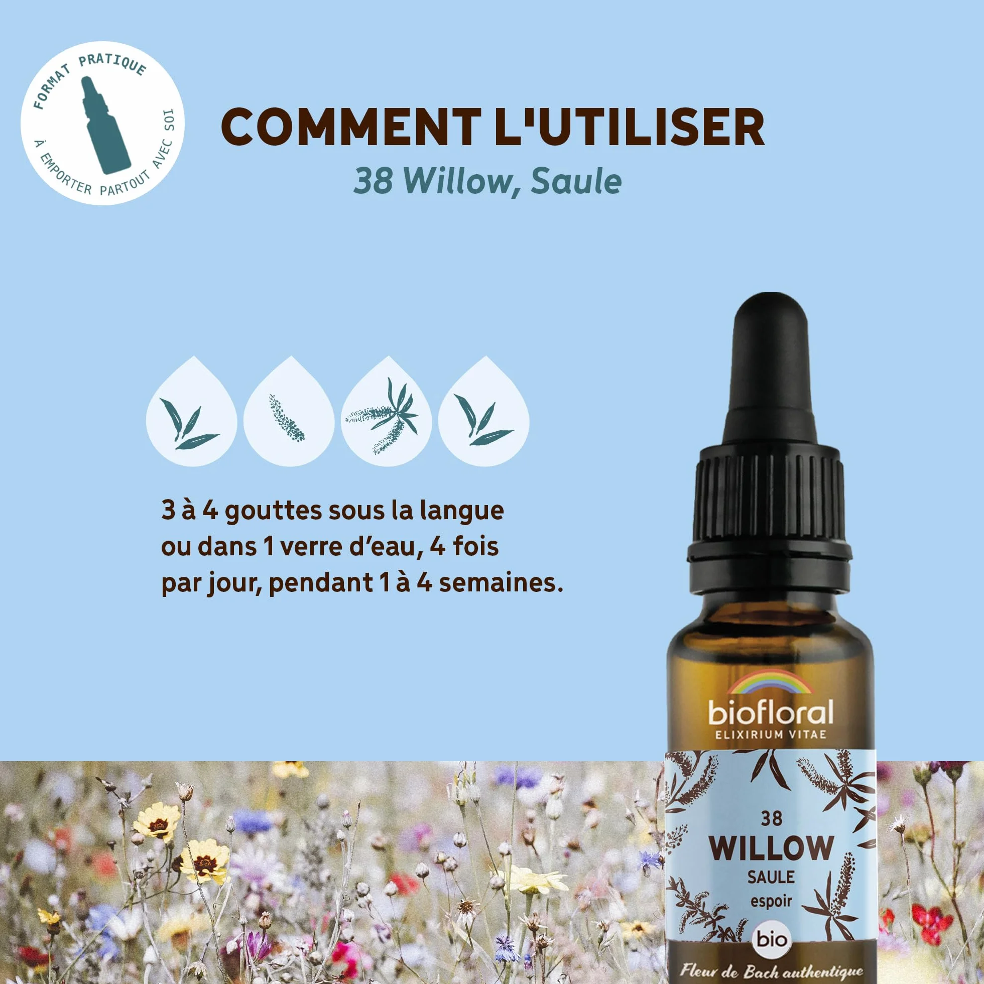 Fleurs de Bach Bio N°38 Willow - 20ml