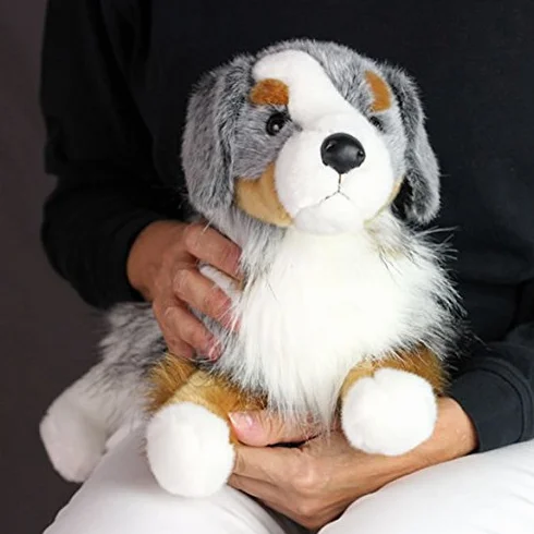 Owczarek australijski - Stuufed Animal Therapy dla osób z utratą pamięci w wyniku starzenia się i opiekunów przez niezapomniane zwierzęta