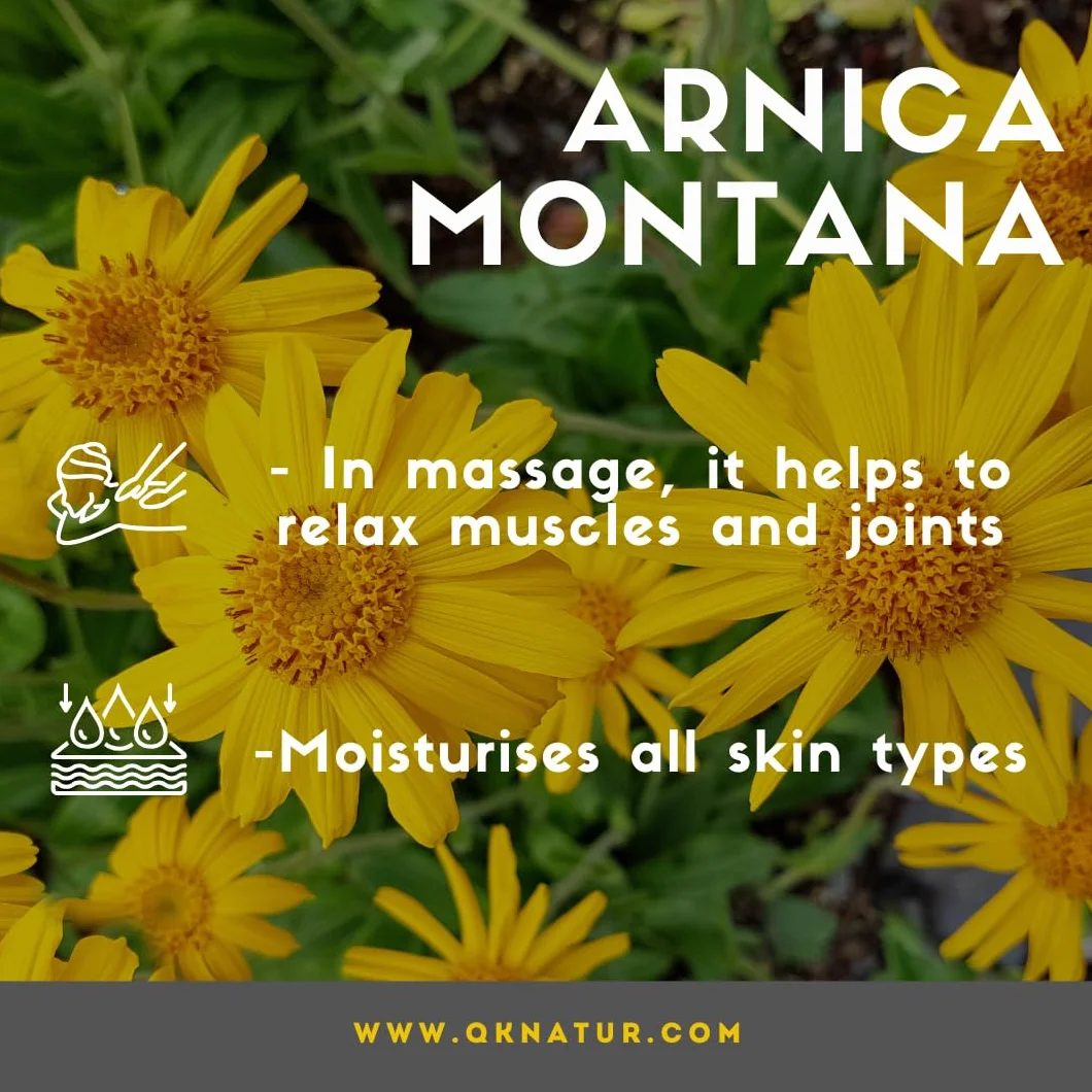 QKnatur ARNICA - Macerowany olejek z arniki Montana 100% czysty - BIO - Organiczny - Roślinny - 250 ml