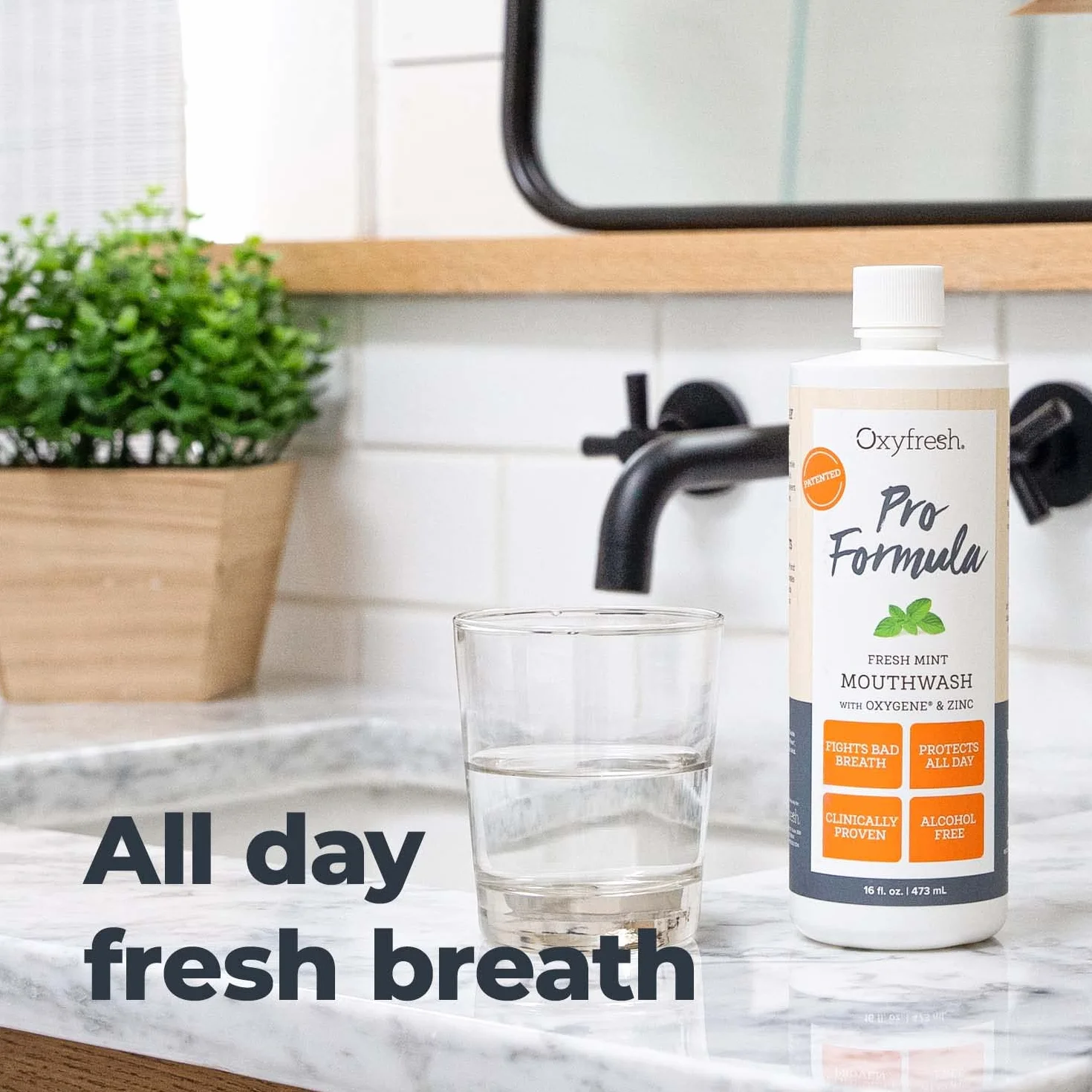 Oxyfresh Zinc Mouthwash 16oz Long-Lasting Fresh Breath Healthy Gums Alcohol-Free
