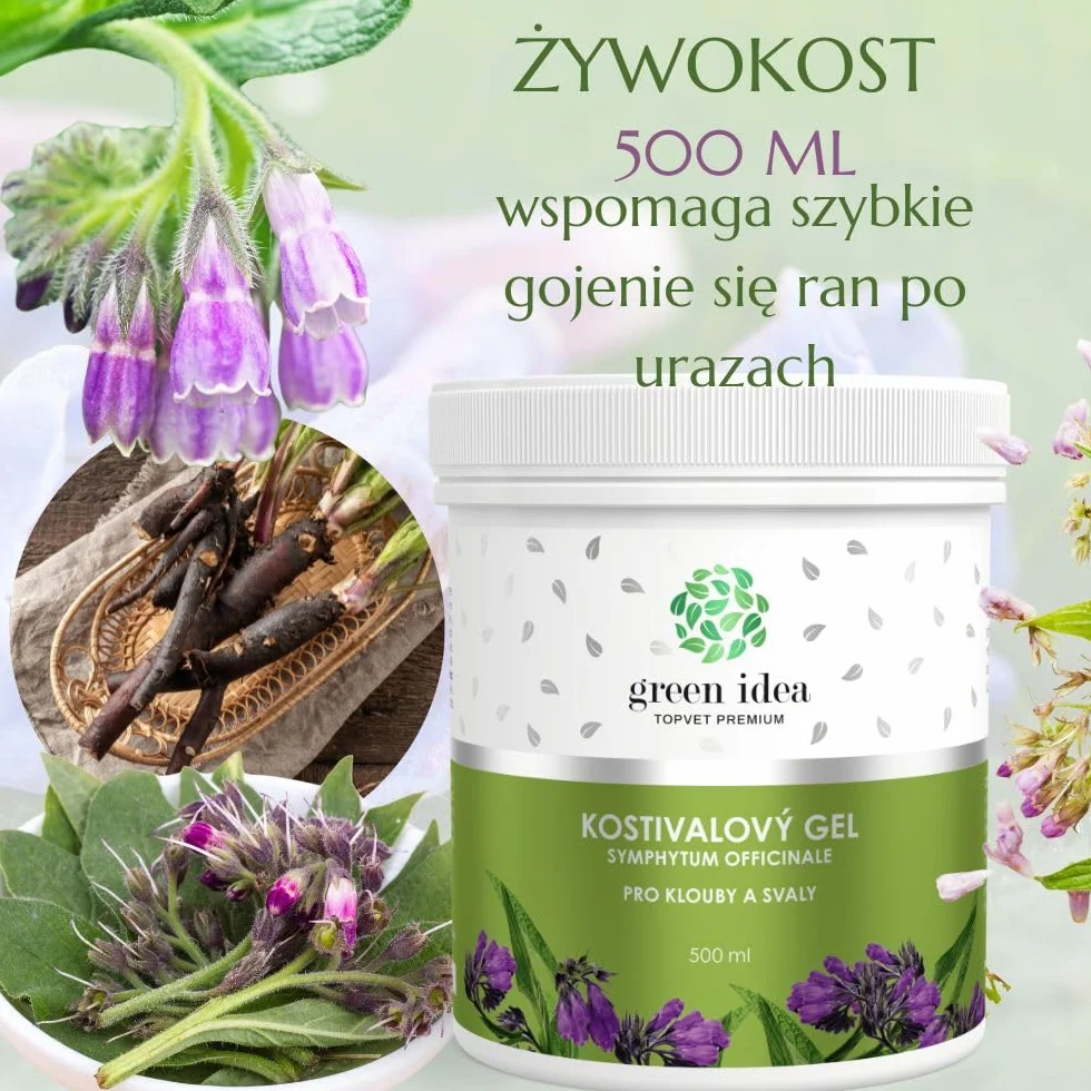 Green Idea Żywokost lekarski żel do masażu 500 ml na bóle stawów, mięśni i artretyzm