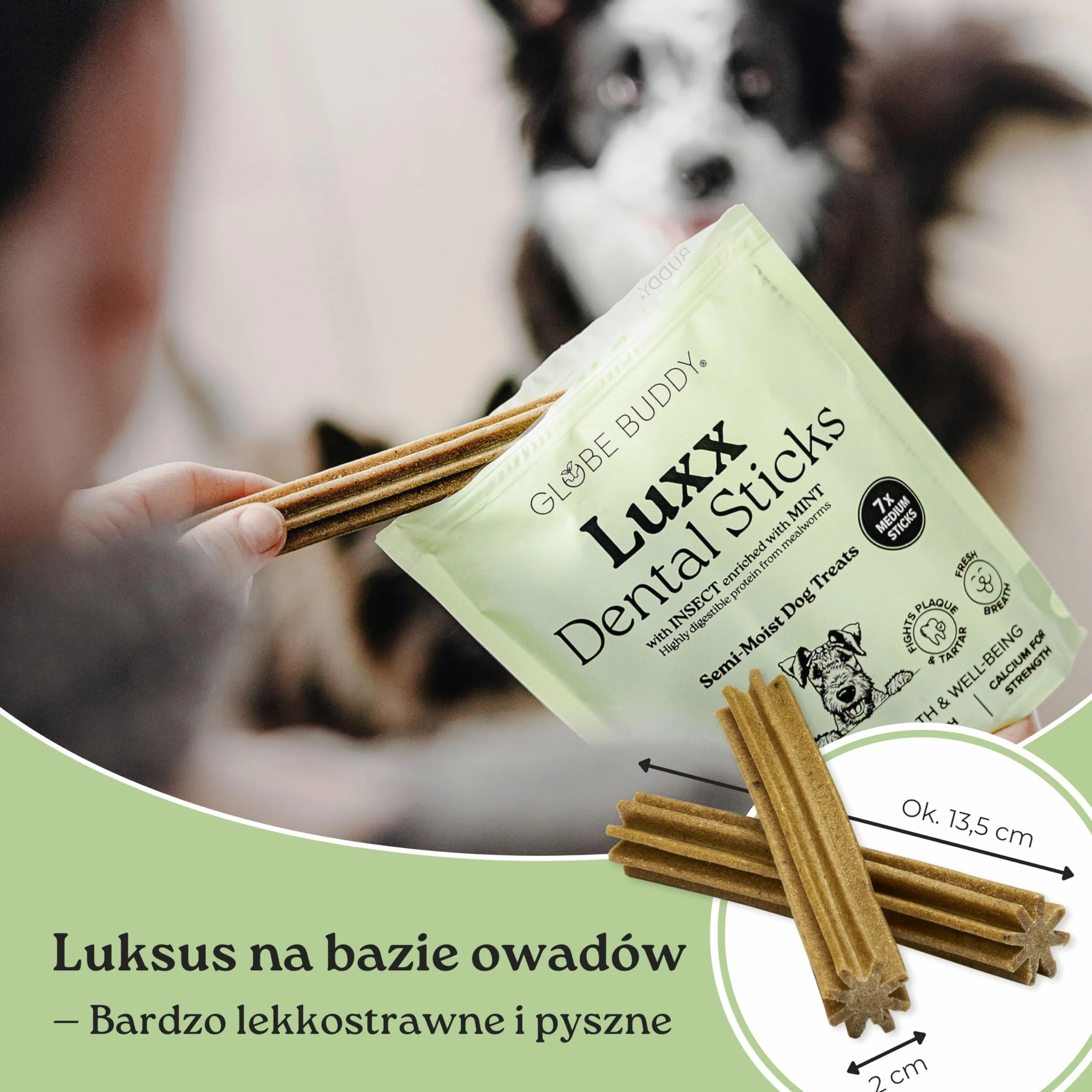 Luxx Dentystyczne Przysmaki dla Psów – Bezzbożowe Gryzaki z Białkiem z Owadów, Miętą & SHMP – 7 Super Premium Smakołyków (250g)