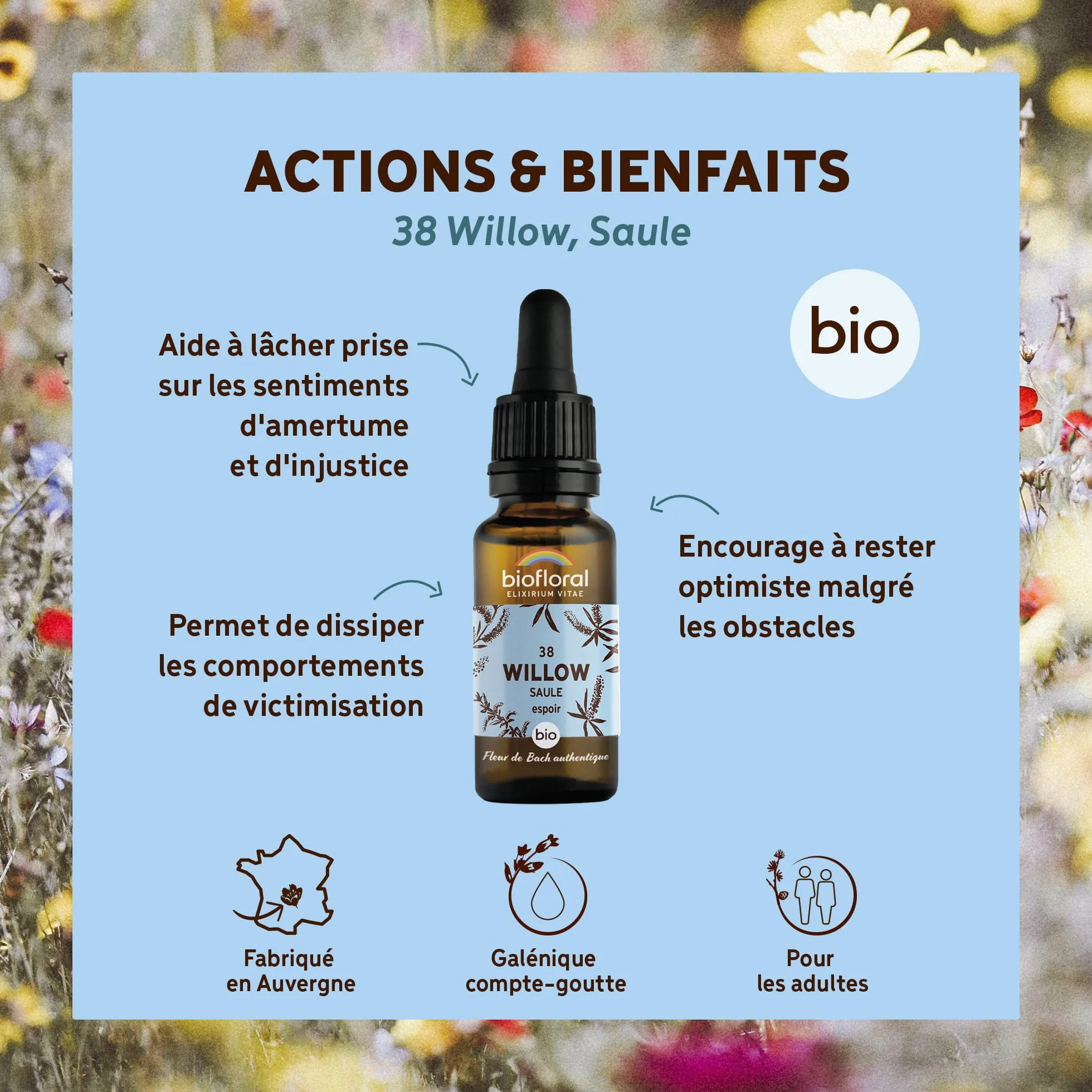 Fleurs de Bach Bio N°38 Willow - 20ml
