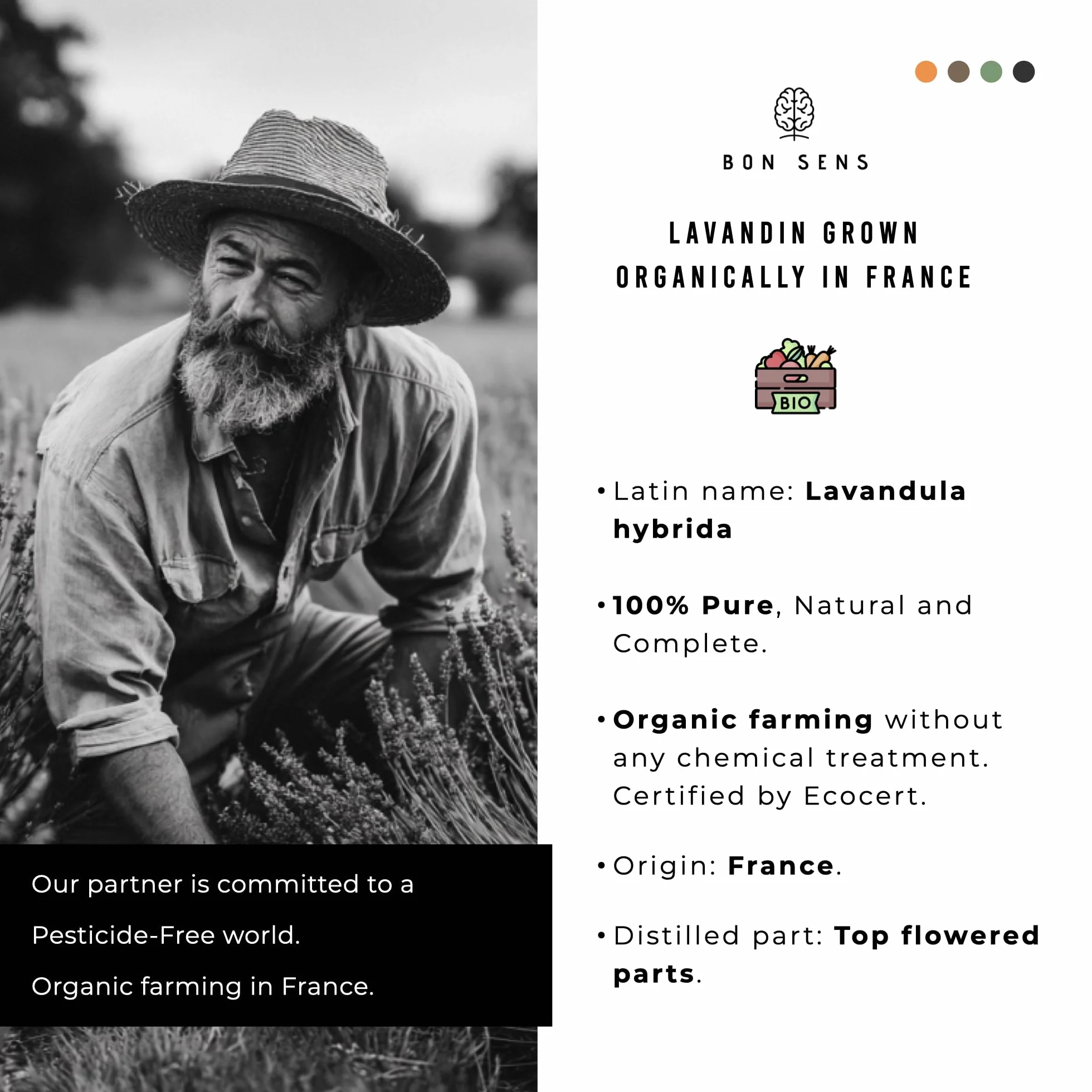 50ml Olejek Eteryczny z Lawendynu Grosso BIO - Uprawiany i Destylowany we Francji - 100% Czysty Naturalny i Ekologiczny - Zapach Lawendy idealny do Dyfuzora Aromaterapii Masażu DIY Mydła Świec itd.