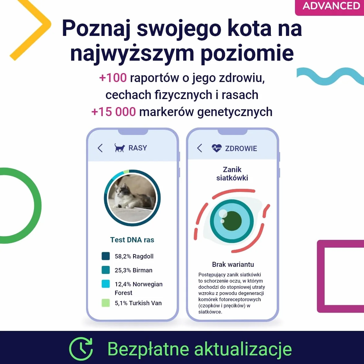 Test DNA dla Kotów Advanced Koko Genetics - 150 Raporty Ras, Zdrowotne i Cech