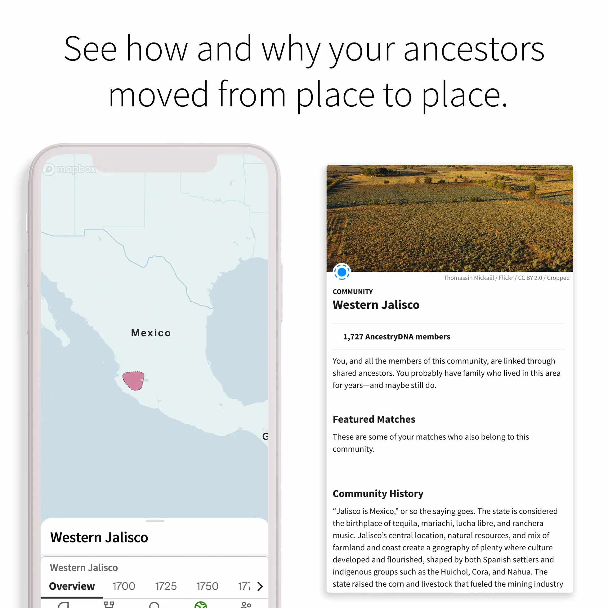 AncestryDNA: Genetyczny test etniczny, zestaw testów