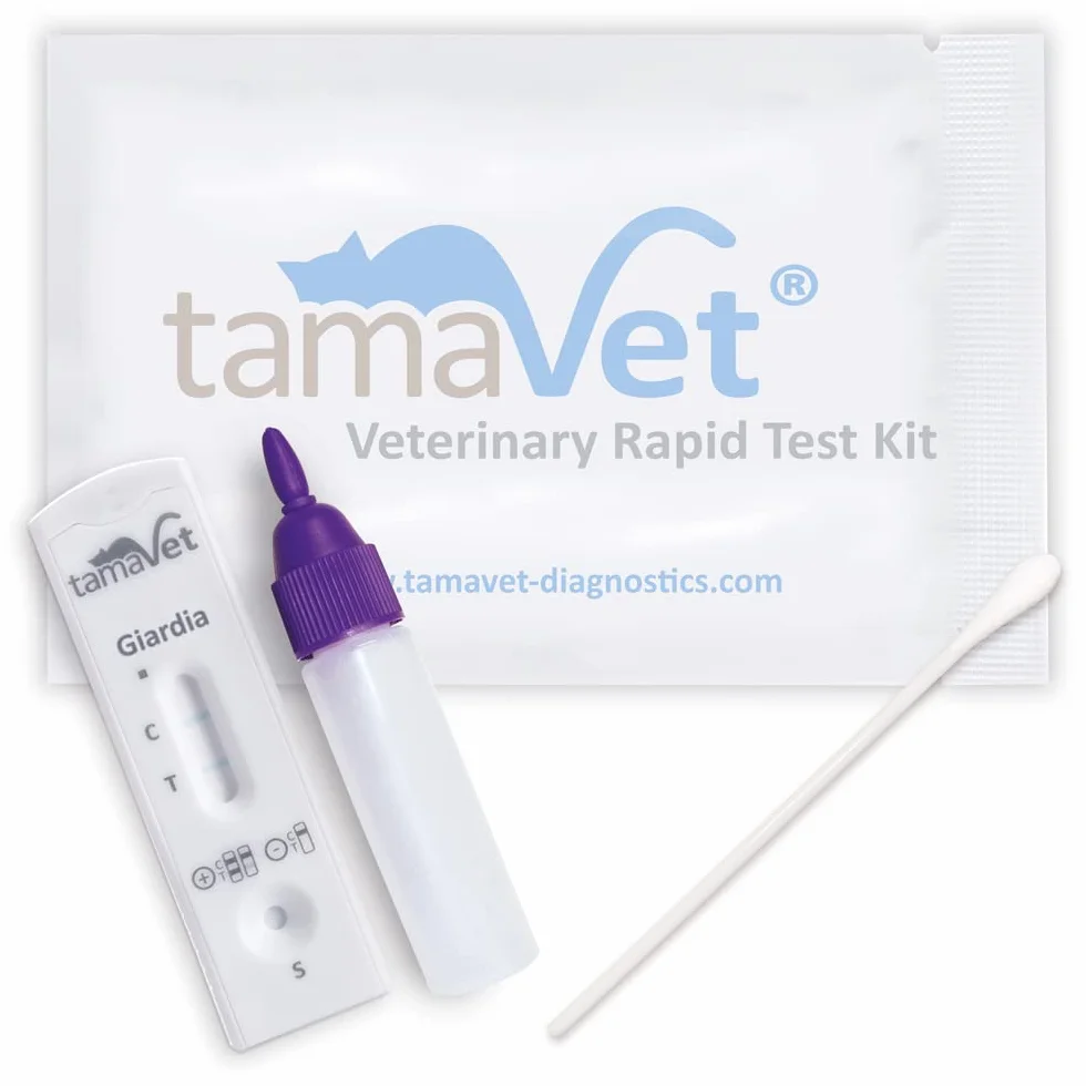 tamaVet Szybki test na lamblie dla psa i kota – Natychmiastowa pewność co do zdrowia zwierzęcia przy biegunce i pasożytach jelitowych – Do wykrywania antygenów lamblii w kale