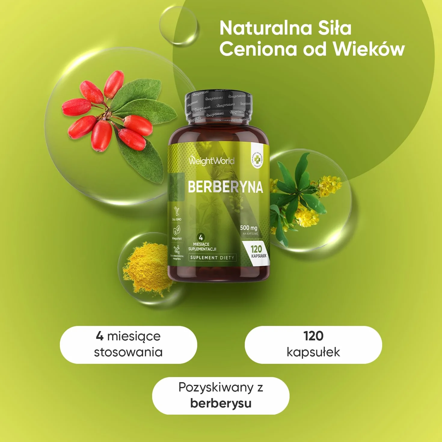 Berberyna 500 mg, opakowanie 120 kapsułek, zaopatrzenie na 4 miesiące – suplement berberyny odpowiedni dla wegan, bez alergenów, bezglutenowy oraz bez GMO, tylko raz dziennie