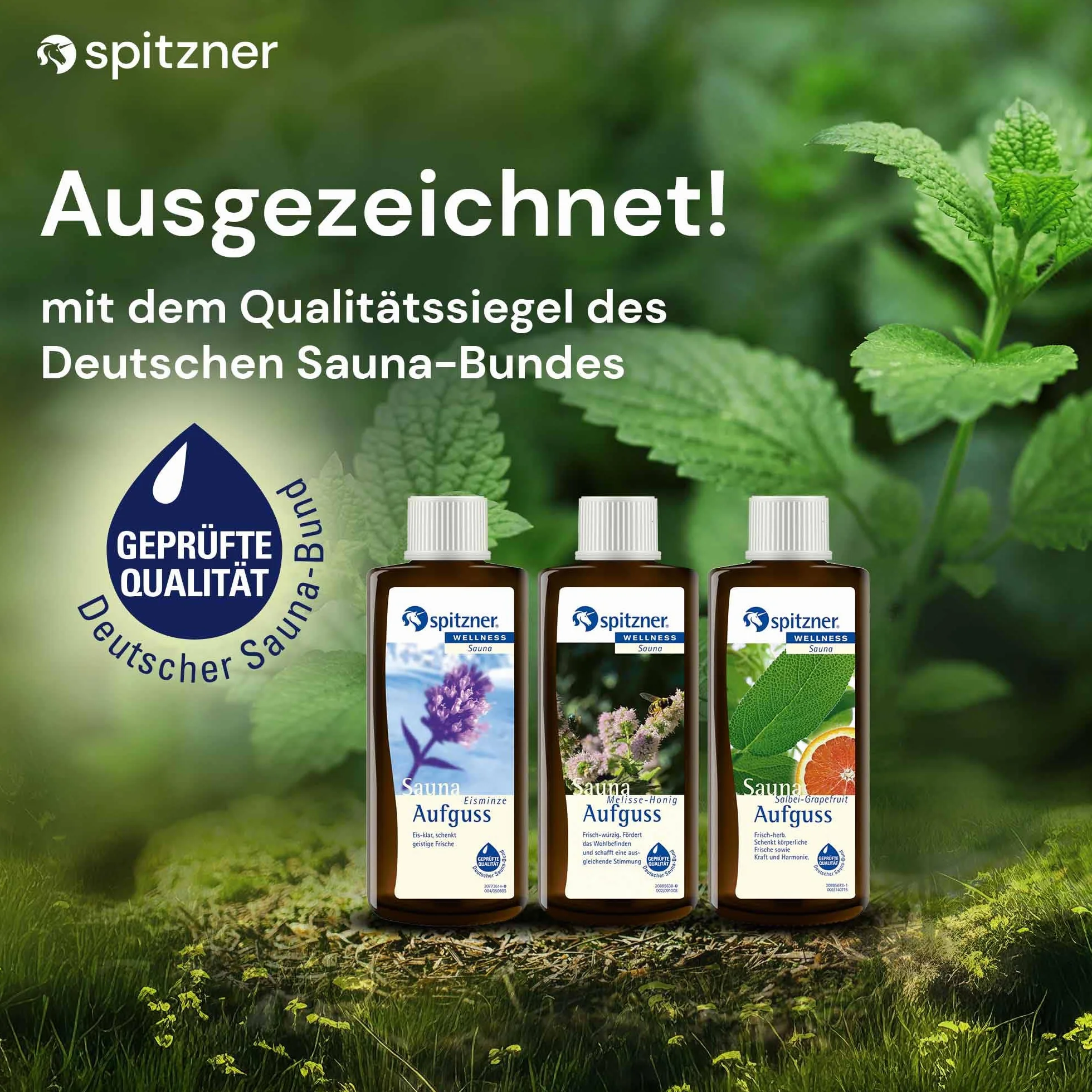 Spitzner Napar do sauny zestaw ziół (3 x 190 ml) – sauna wellness o aromatycznym zapachu sauny lodowej mięty, melisy, miodu i szałwii i grejpfruta