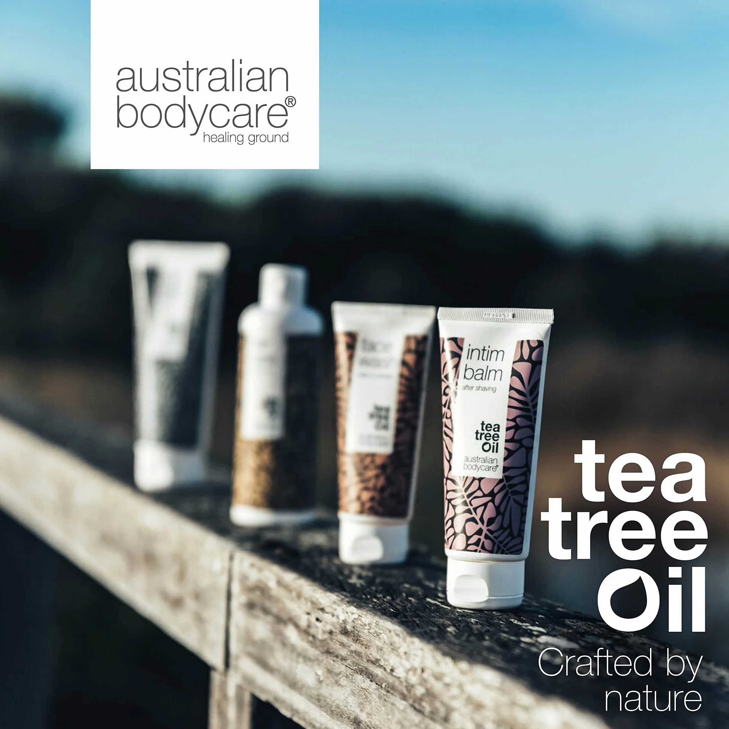 Australian Bodycare Head Lice Treatment - zestaw | 3 Produkty przeciw wszom | z 100% Olejkiem z Drzewa Herbacianego | 15 minutowa kuracja na wszawicę, spray ochronny, szampon dla całej rodziny