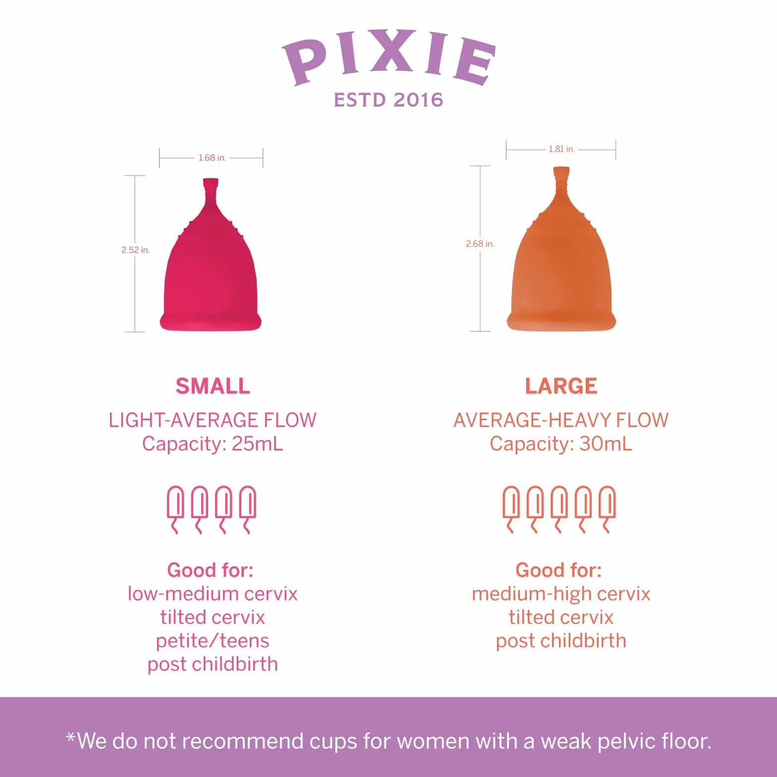 Pixie Cup Zestaw menstruacyjny – najlepszy zestaw startowy do kubków okresowych – 2 kubki, pranie, 20 chusteczek, lubrykant, publiczna toaleta i torba do przechowywania – sprawdzony jako to, czego
