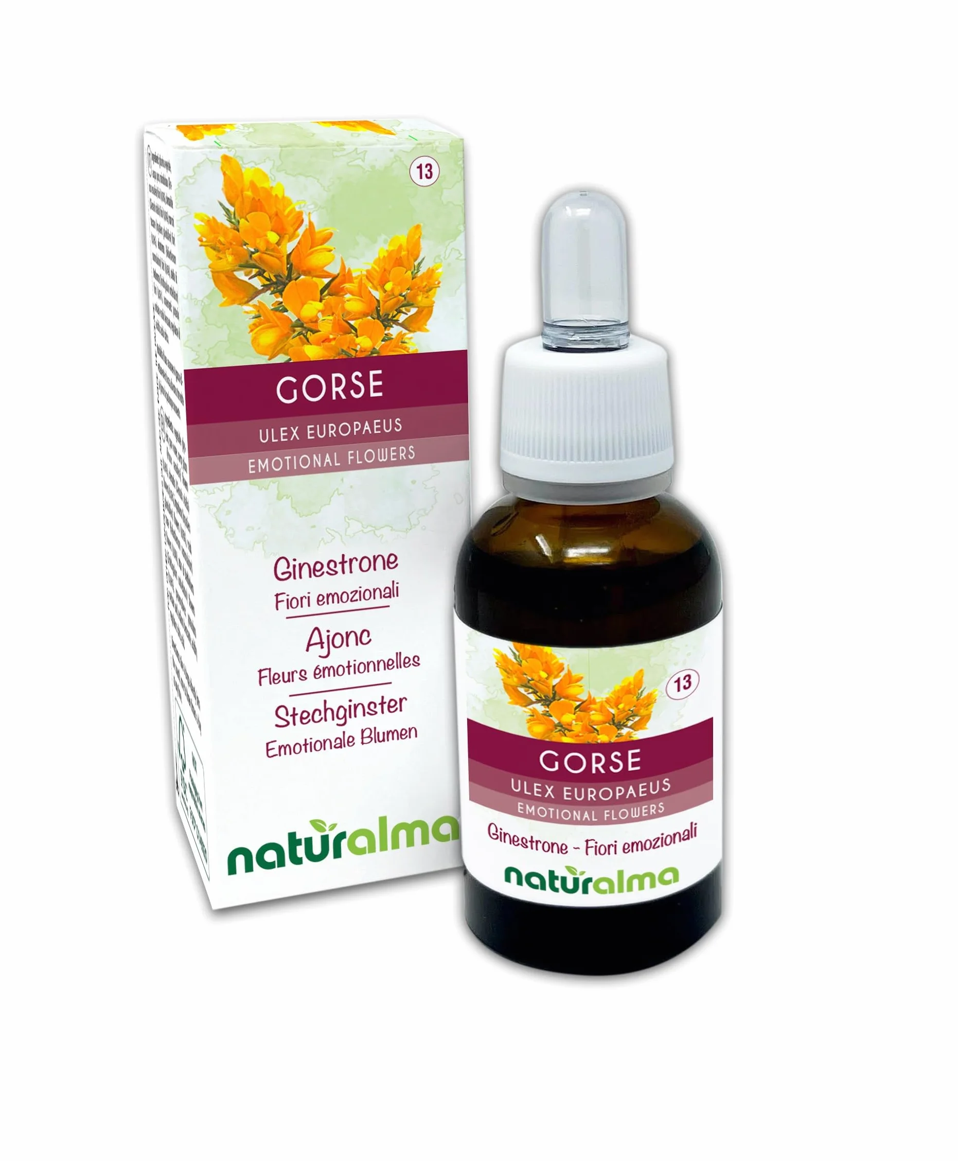 Gorse lub Kolcolist zachodni (Ulex europaeus) Kwiaty emocji lub Kwiaty Bacha Naturalma - Krople 30 ml - Płynny ekstrakt bezalkoholowy - Esencje kwiatowe - Wegański